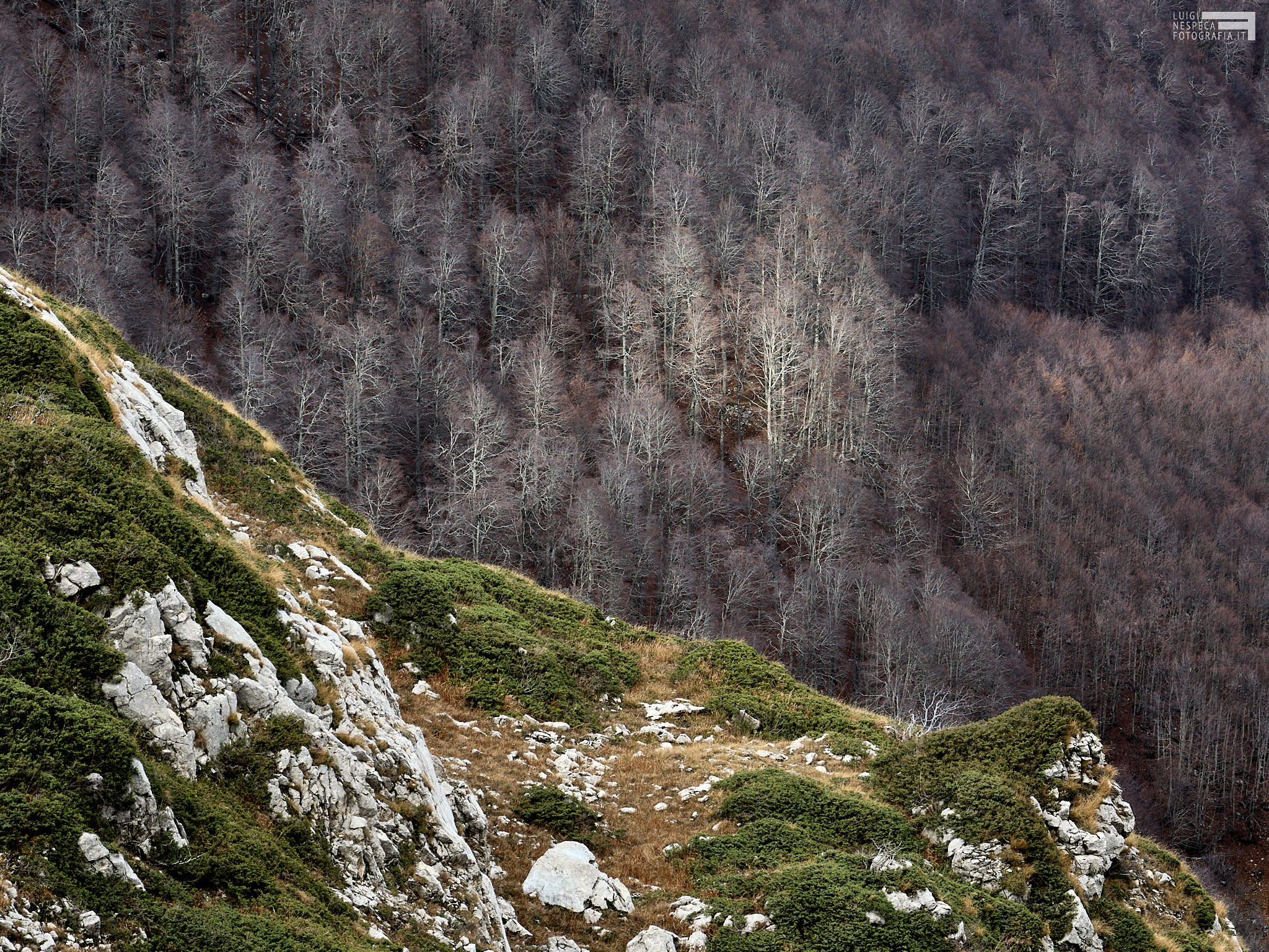 Monti Reatini - Excursion to Terminillo -