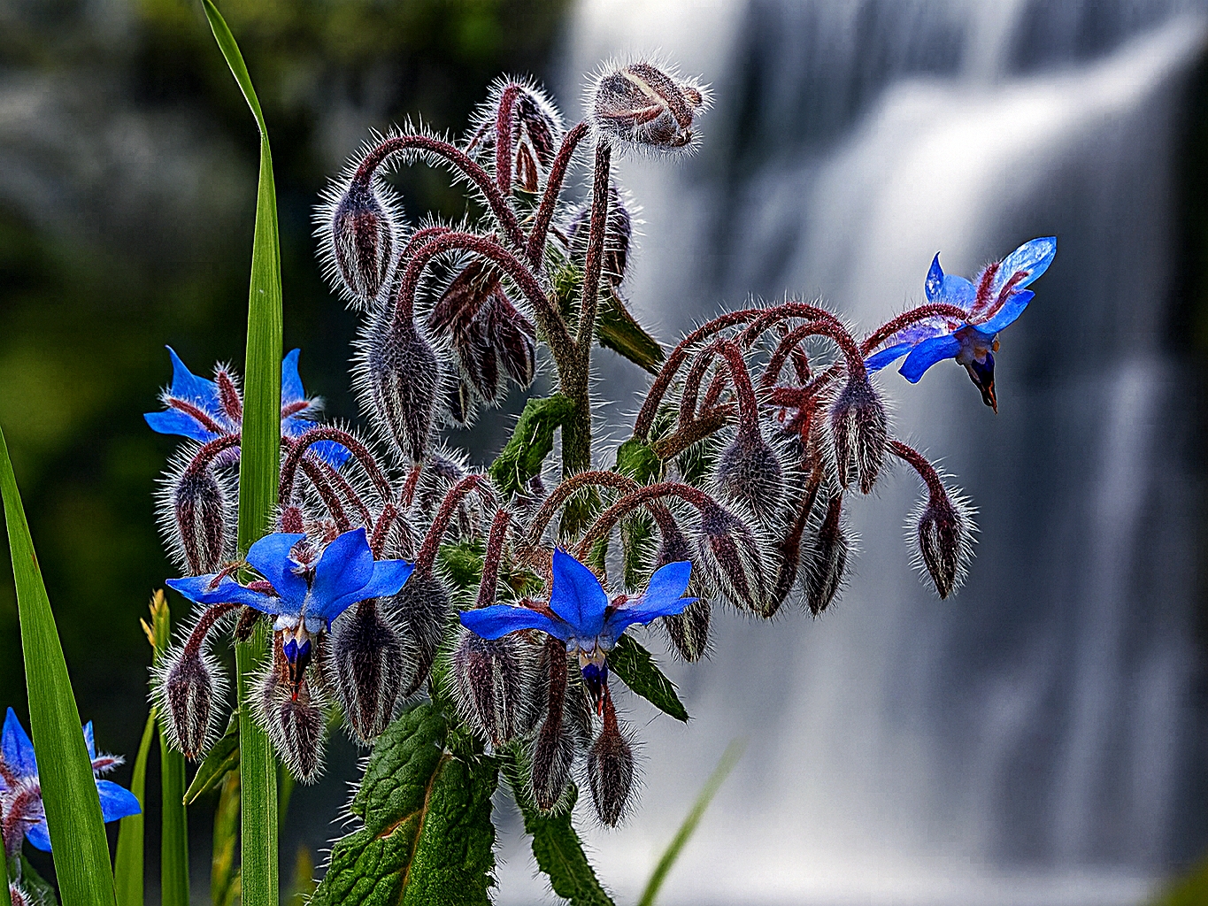 A.I - Addio Irreversibile?