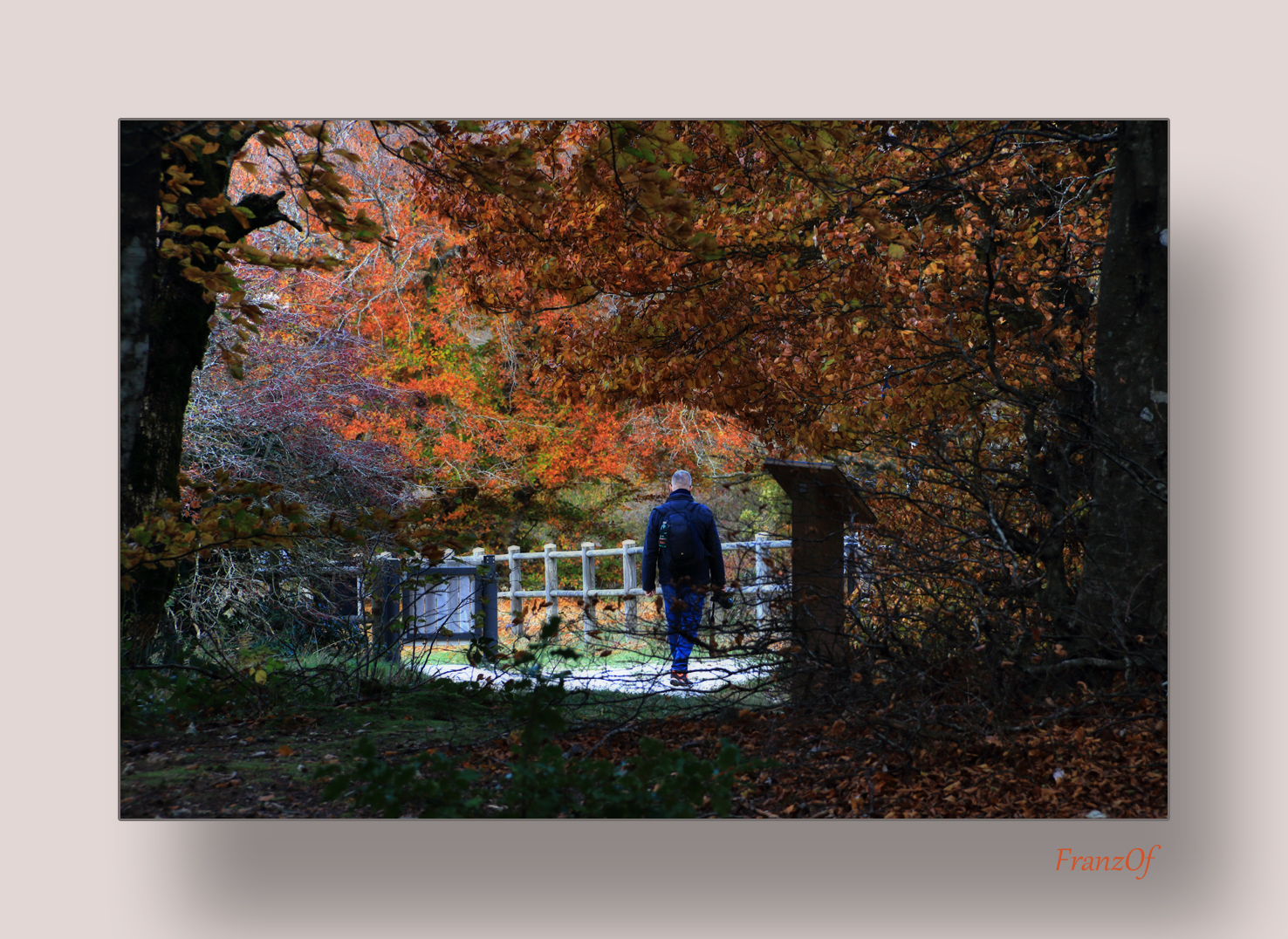 Untitled Photo