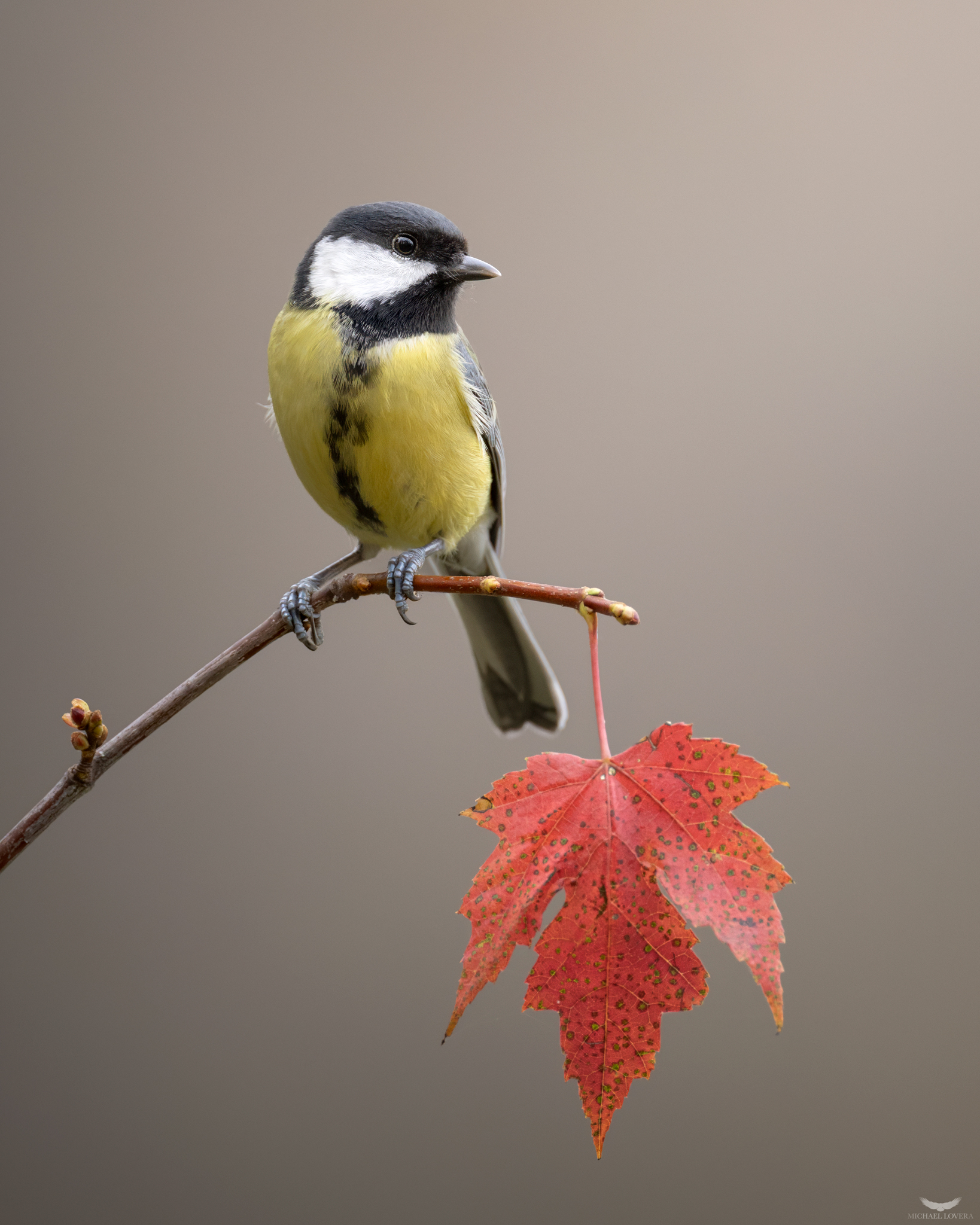 L'autunno