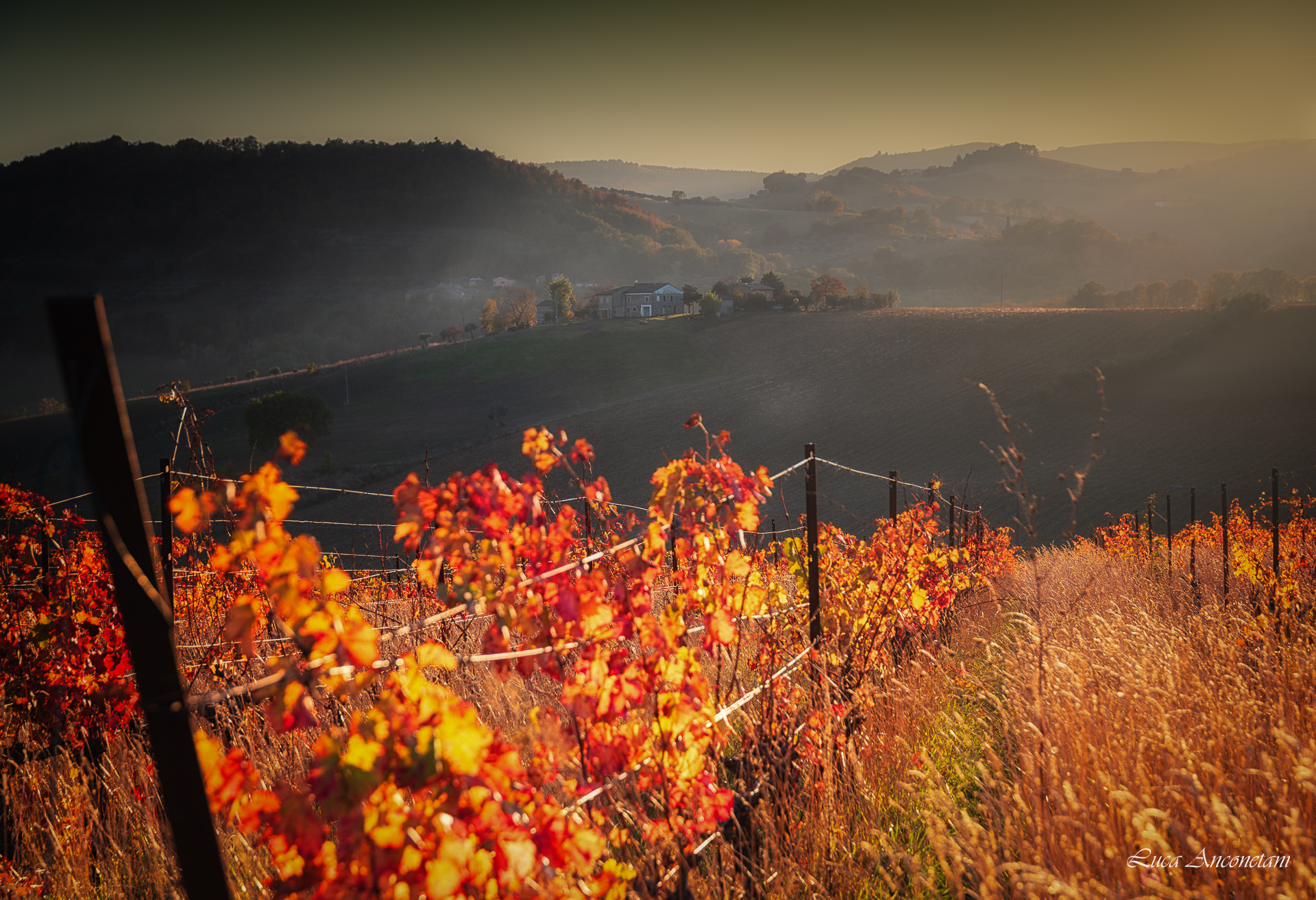 Ombre lunghe della sera