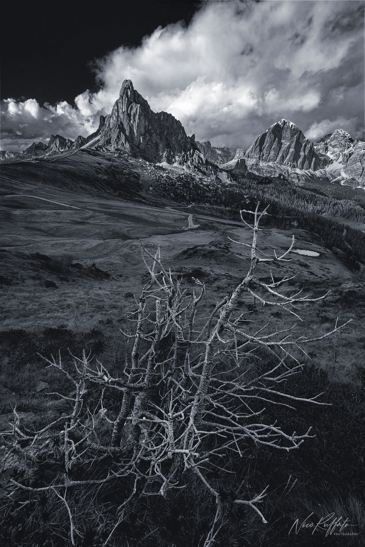 Beyond the silence