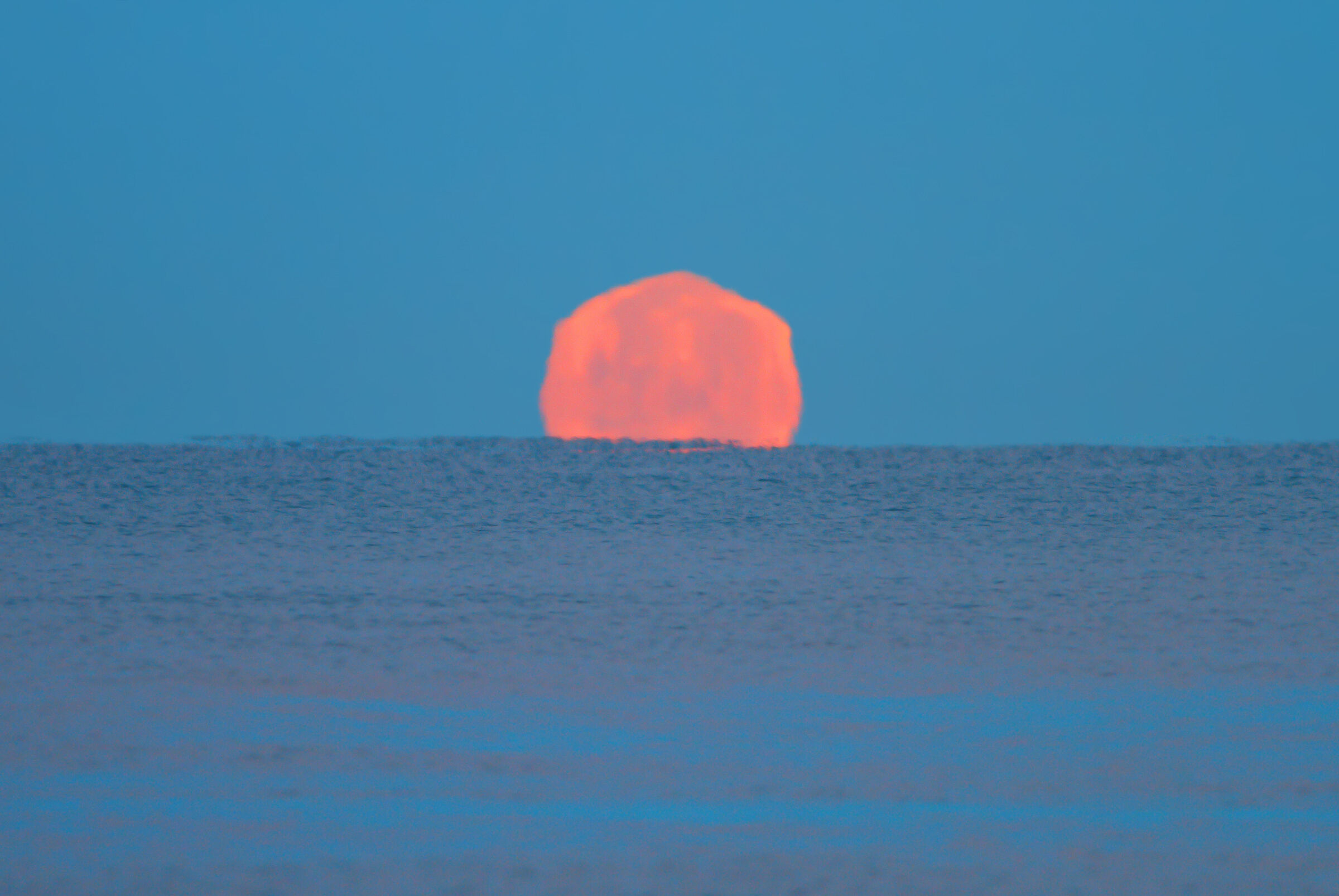 Luna calante.