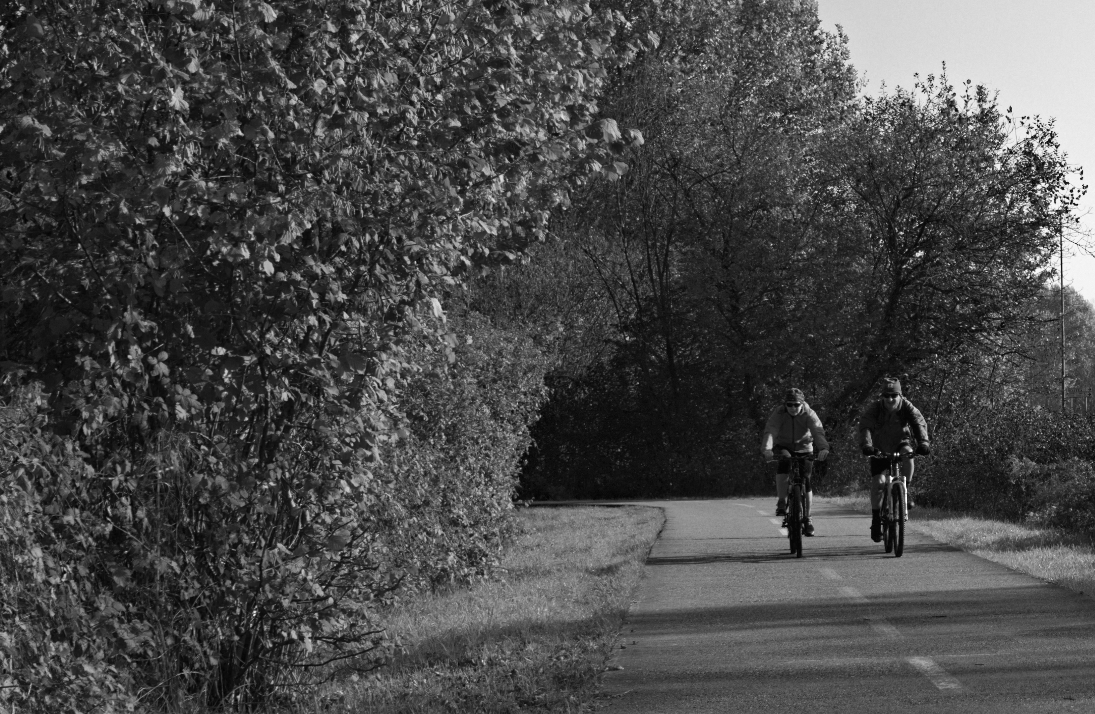 in bici sulla ciclopedonale