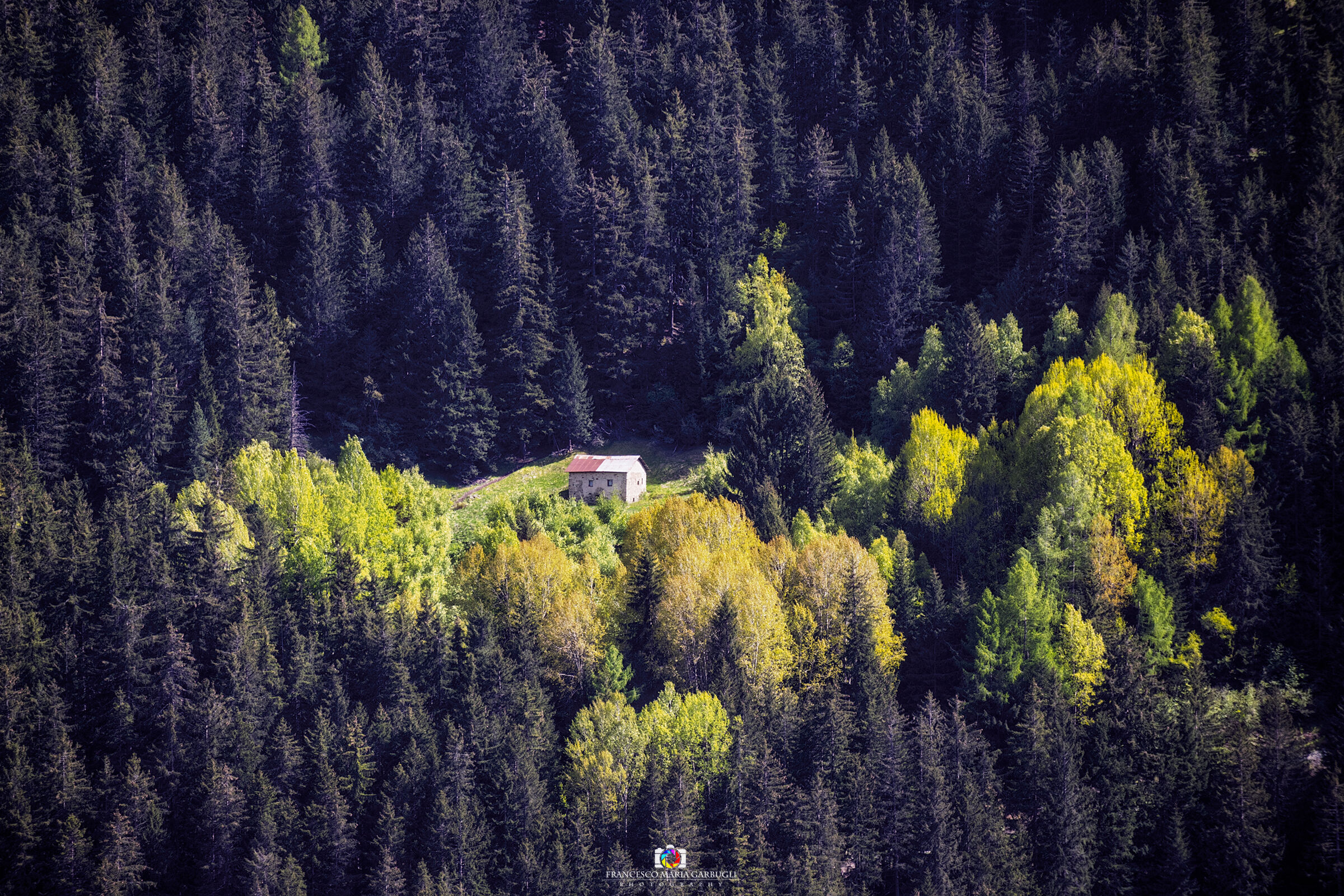 Alpine pasture