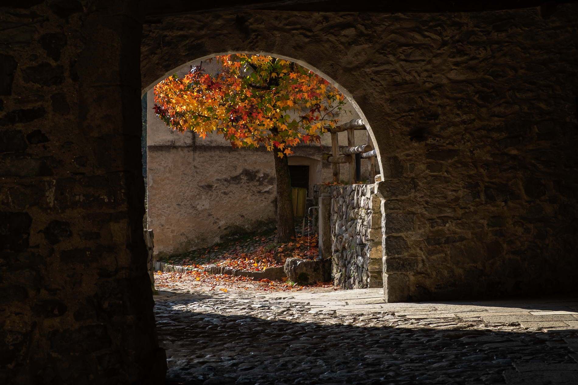 L'arco fiorito