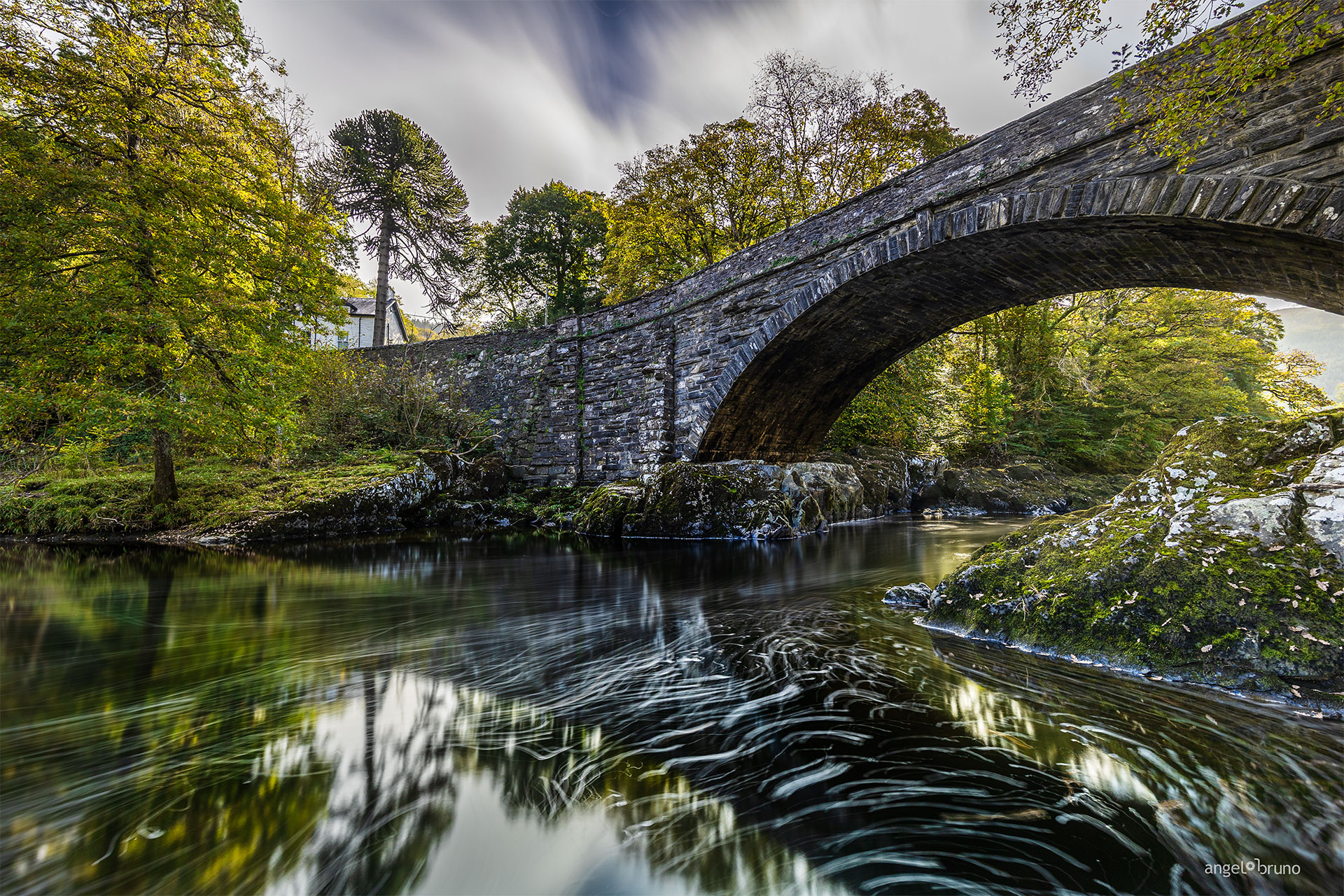 Reflections and water features