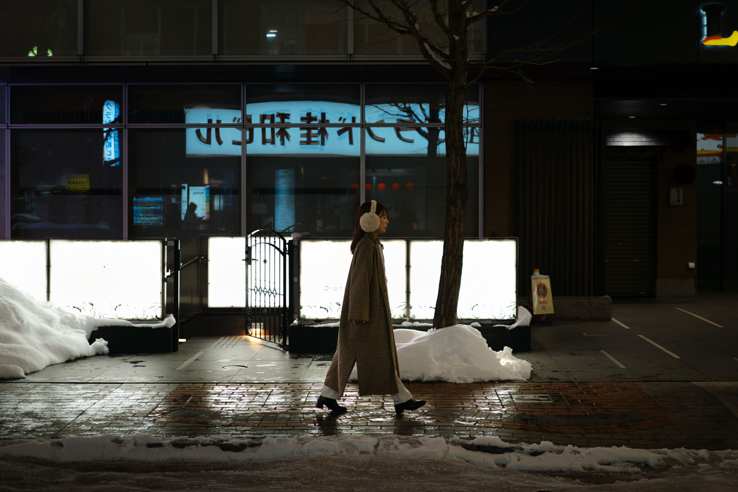 Sapporo street III