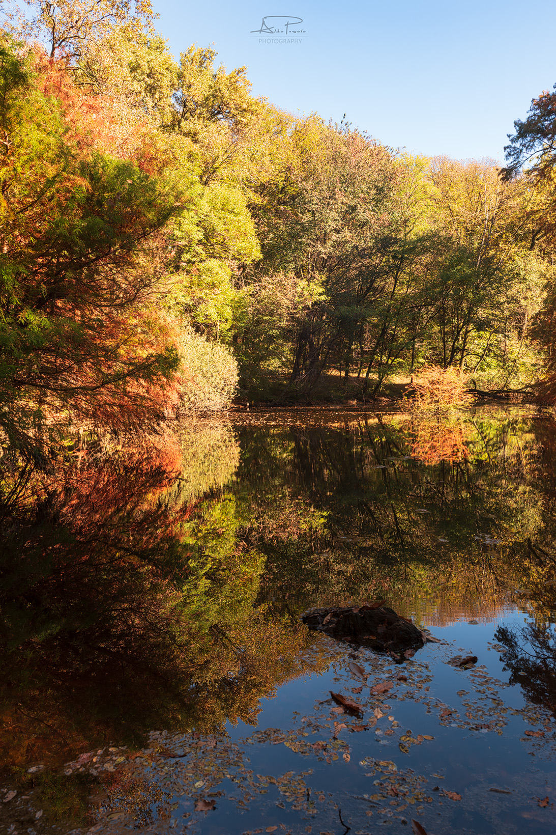 Autumn shades