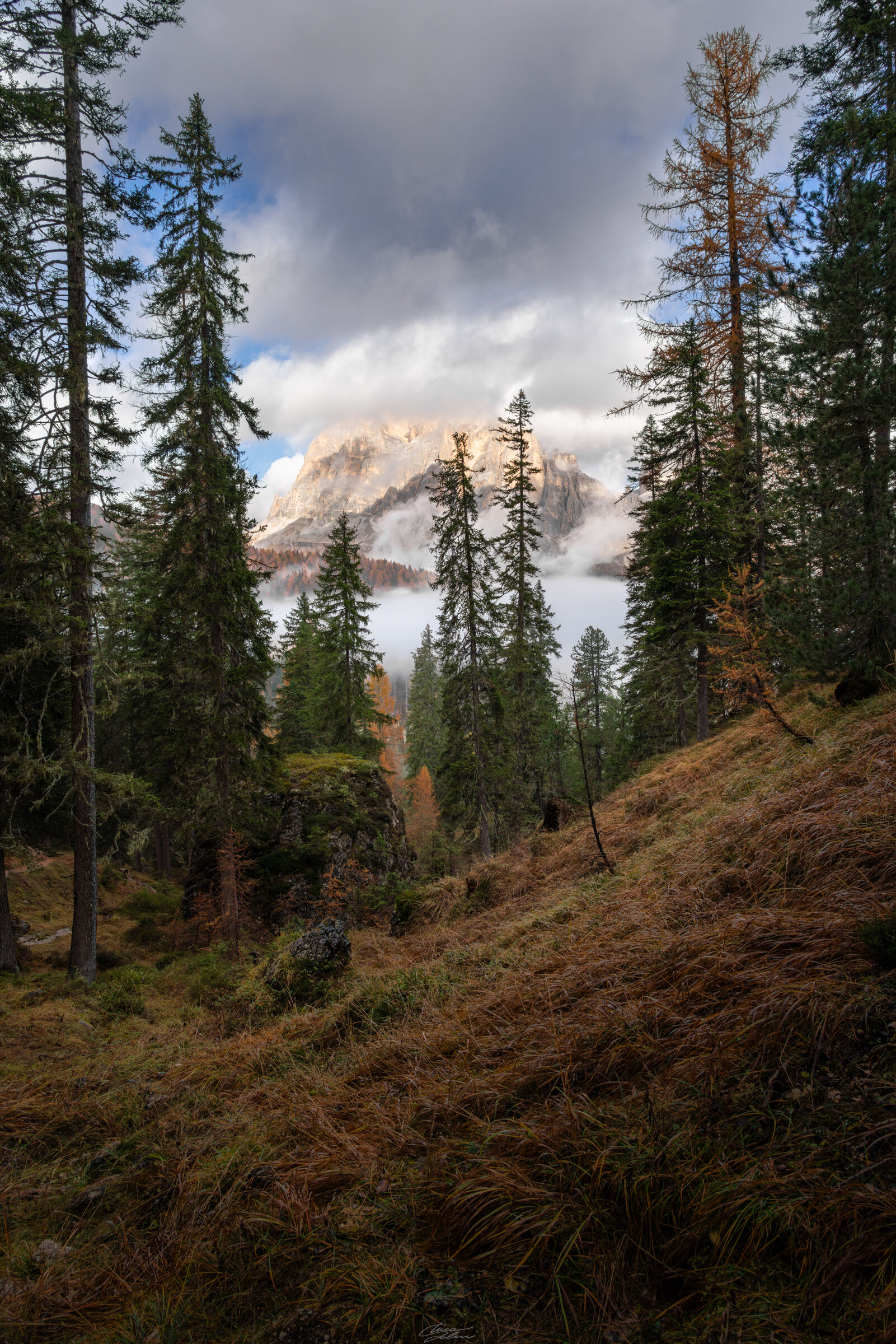 Untitled Photo
