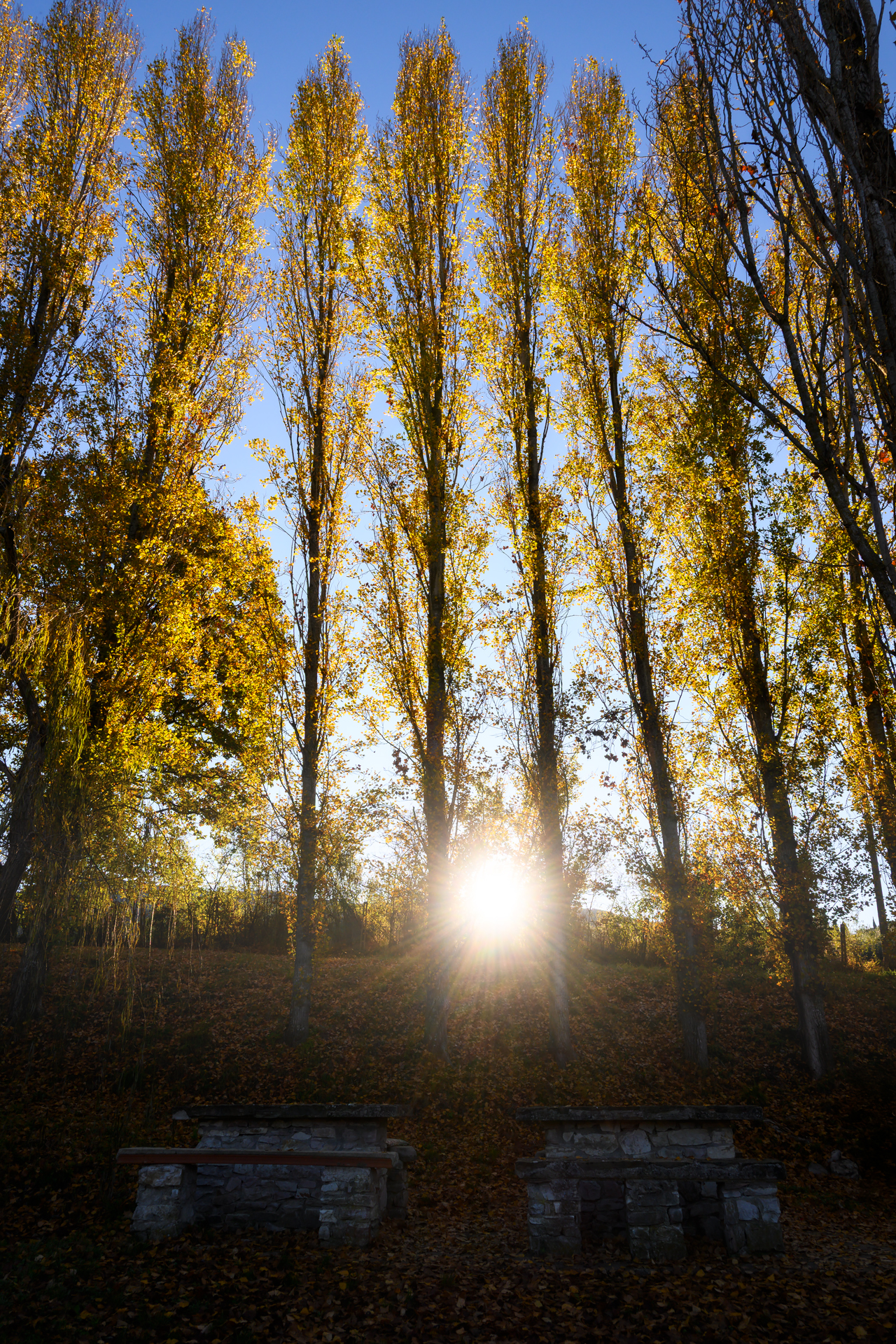 Untitled Photo