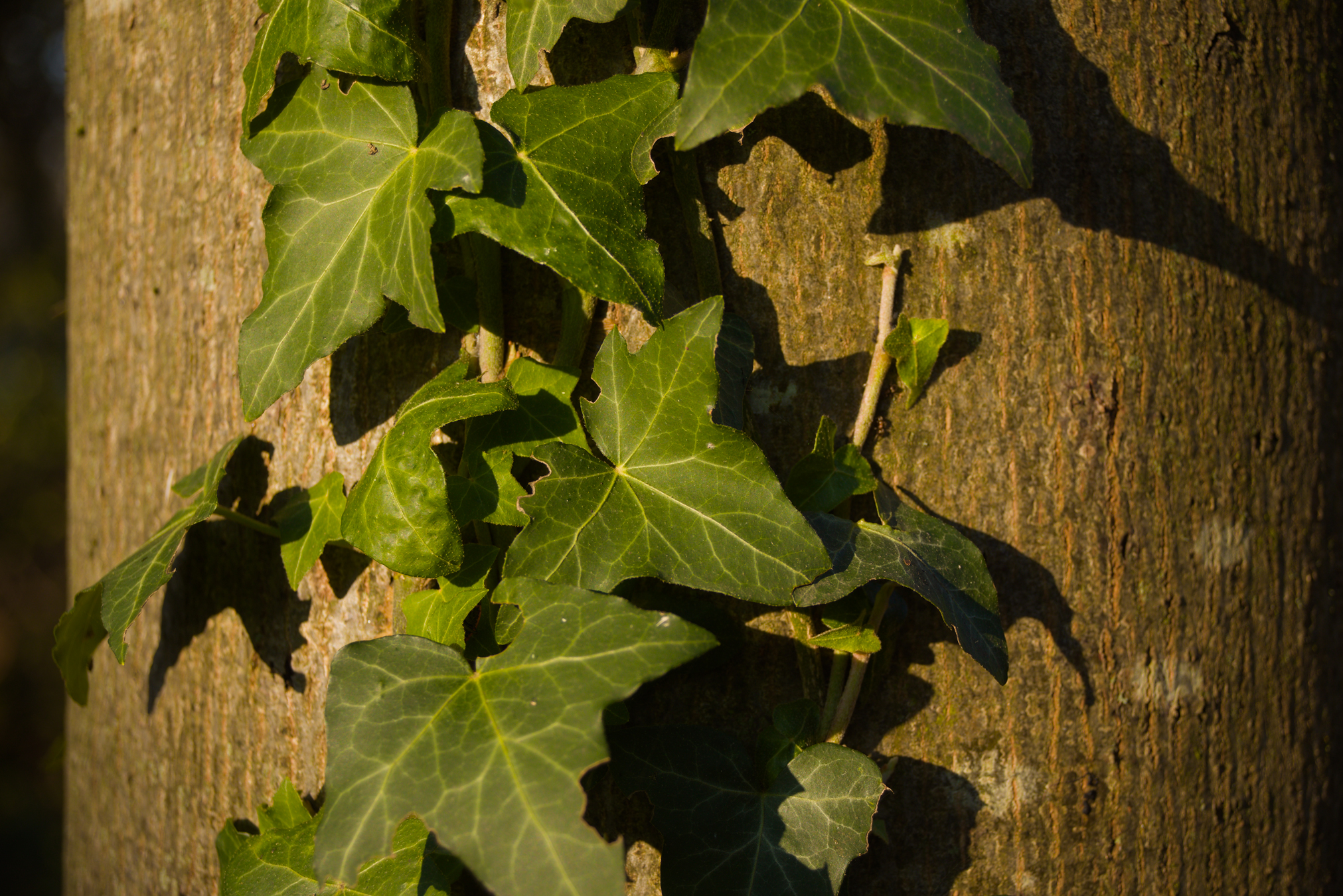 Dettagli, Parco Nord Milano