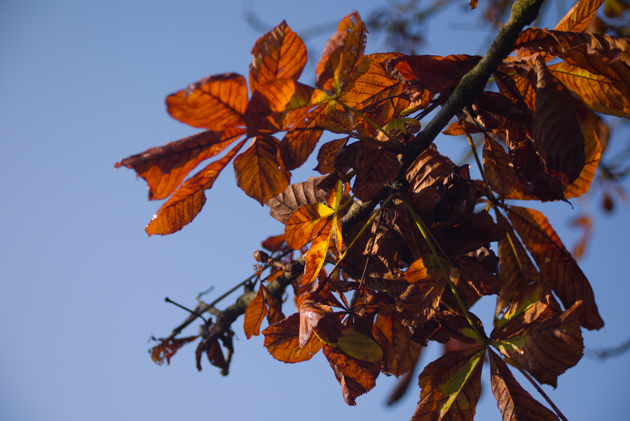 Dettagli, Parco Nord Milano