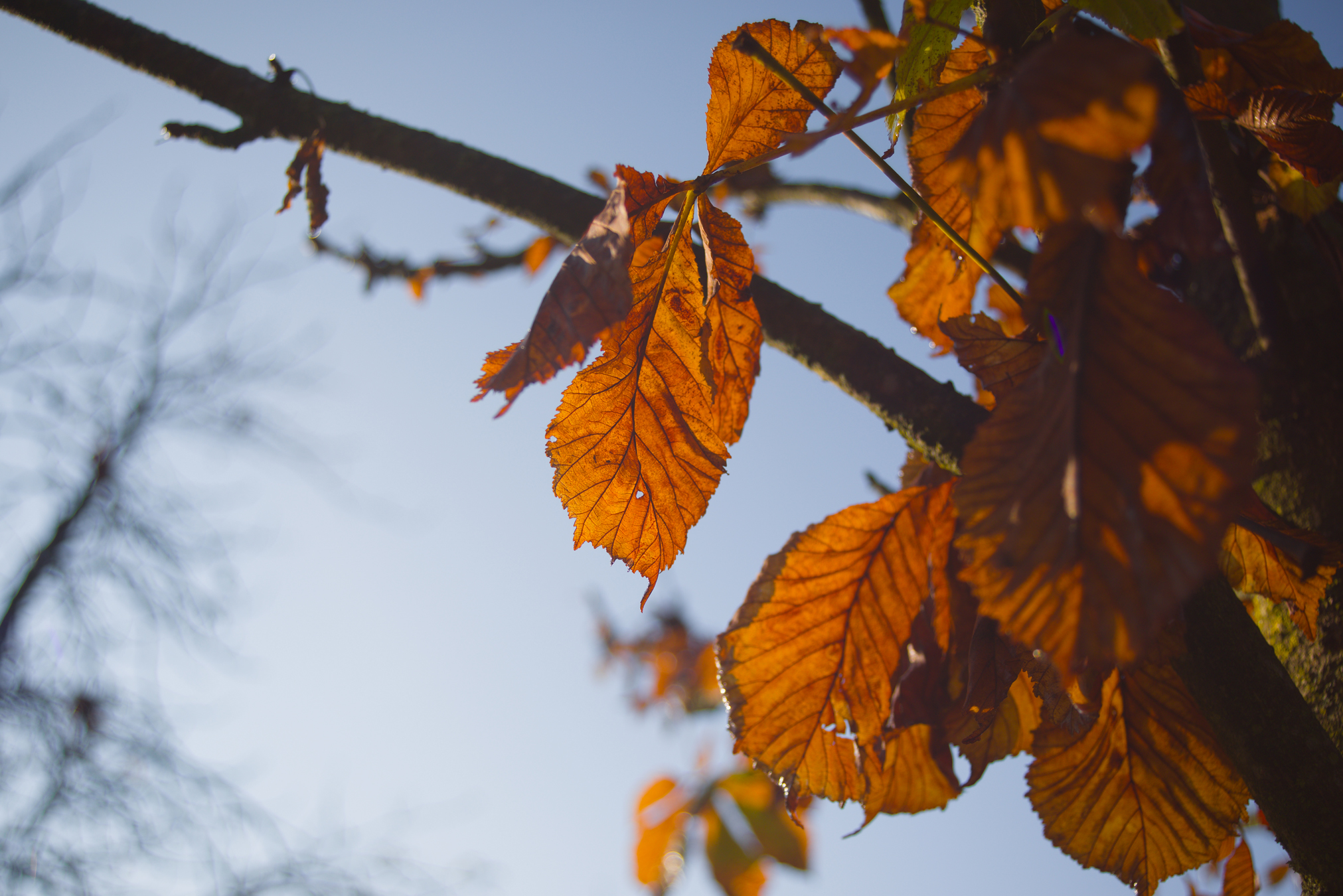 Dettagli, Parco Nord Milano