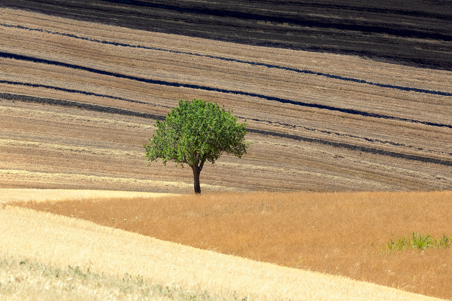 Geometrie-studio della composizione su paesaggio rurale
