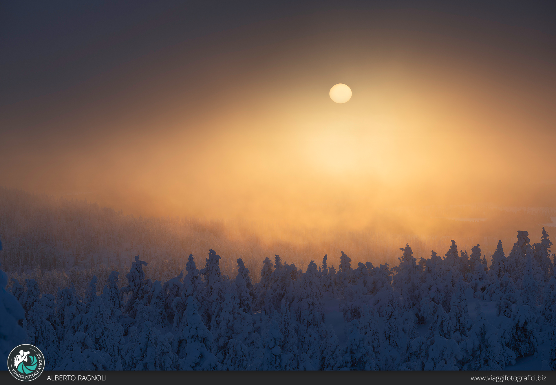 Winter lanscape