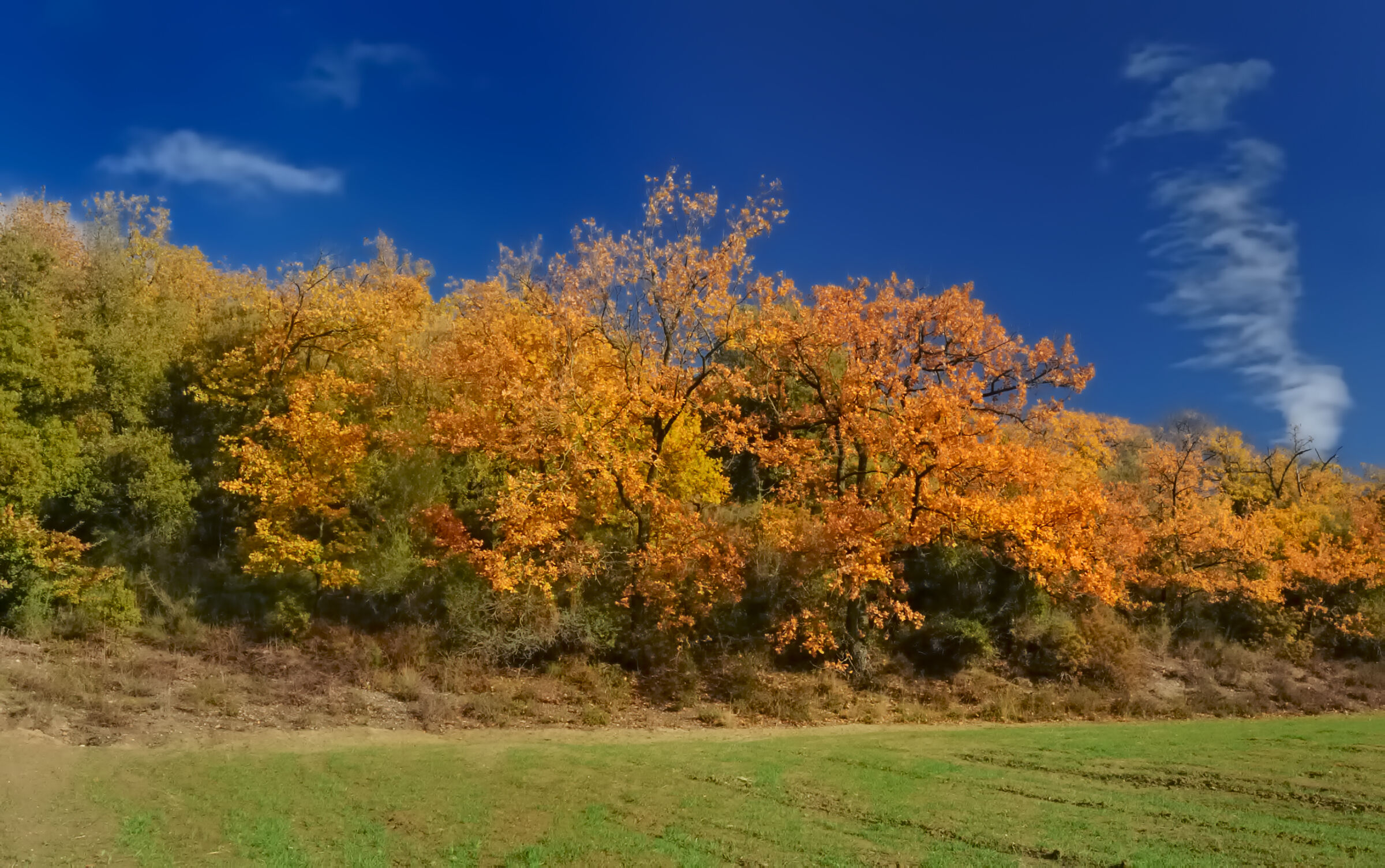 I colori dell' Autunno
