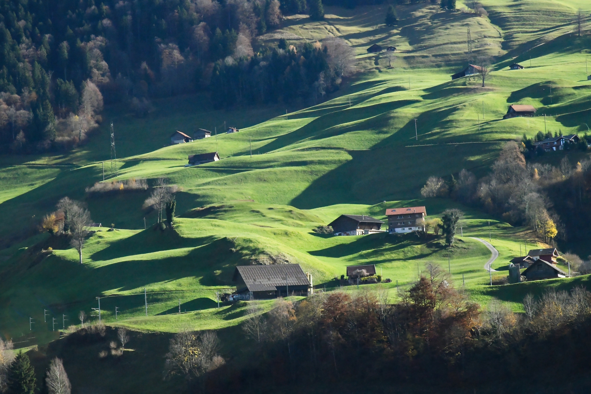 Paesaggio autunnale con tanto sole a novembre