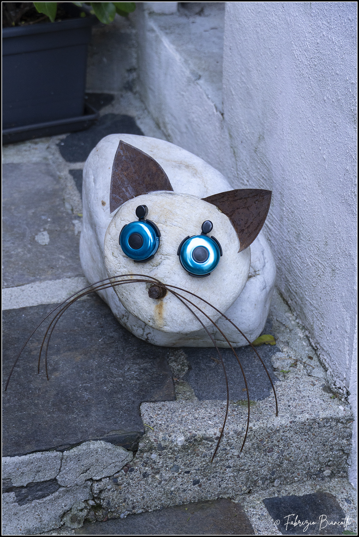 In the Land of Cats - Brolo