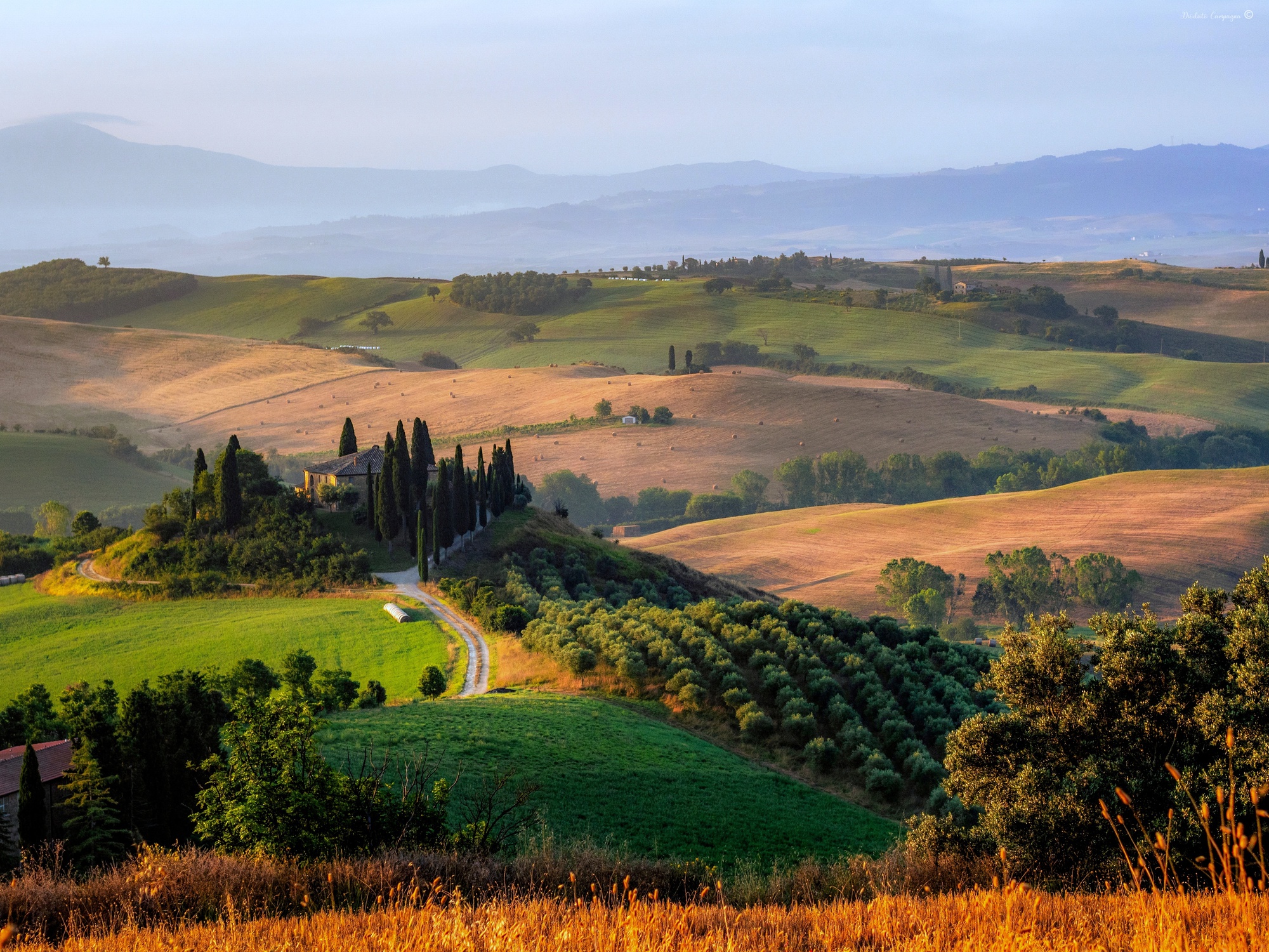 Podere Belvedere