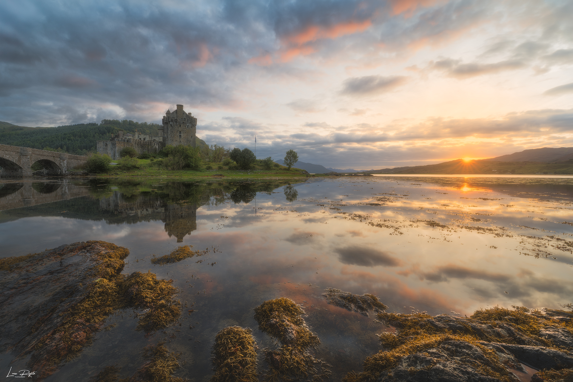 The Immortal Catello