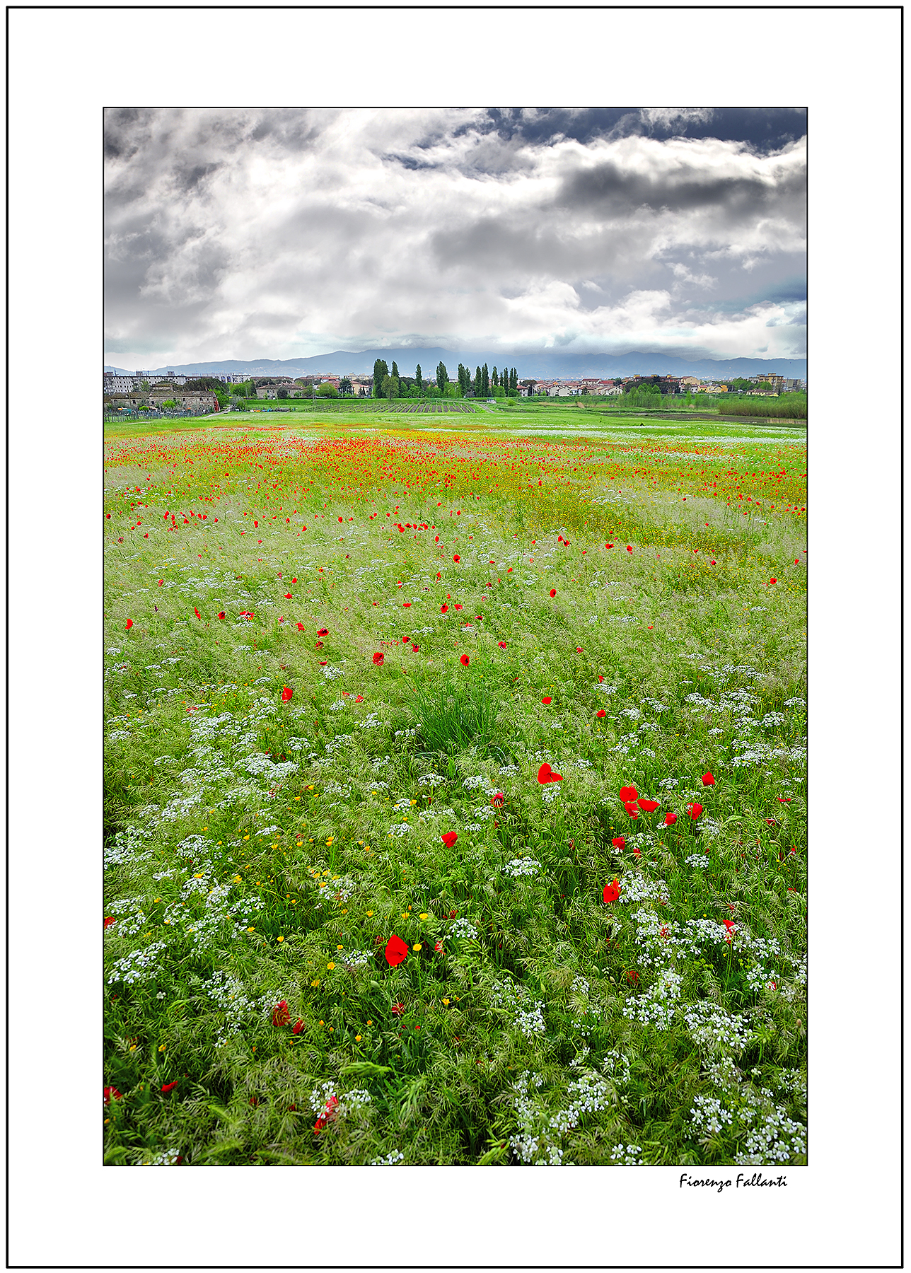 Spring in the suburbs .. ..