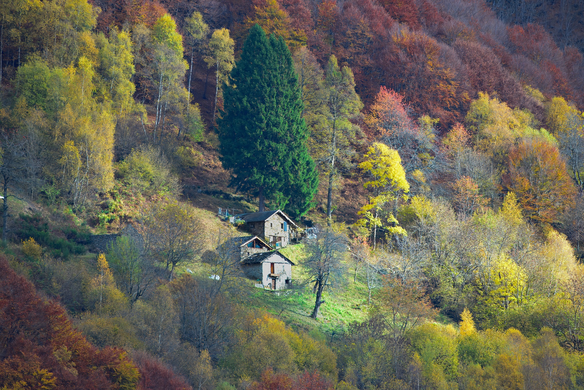 Val Gerola da pedesina 1