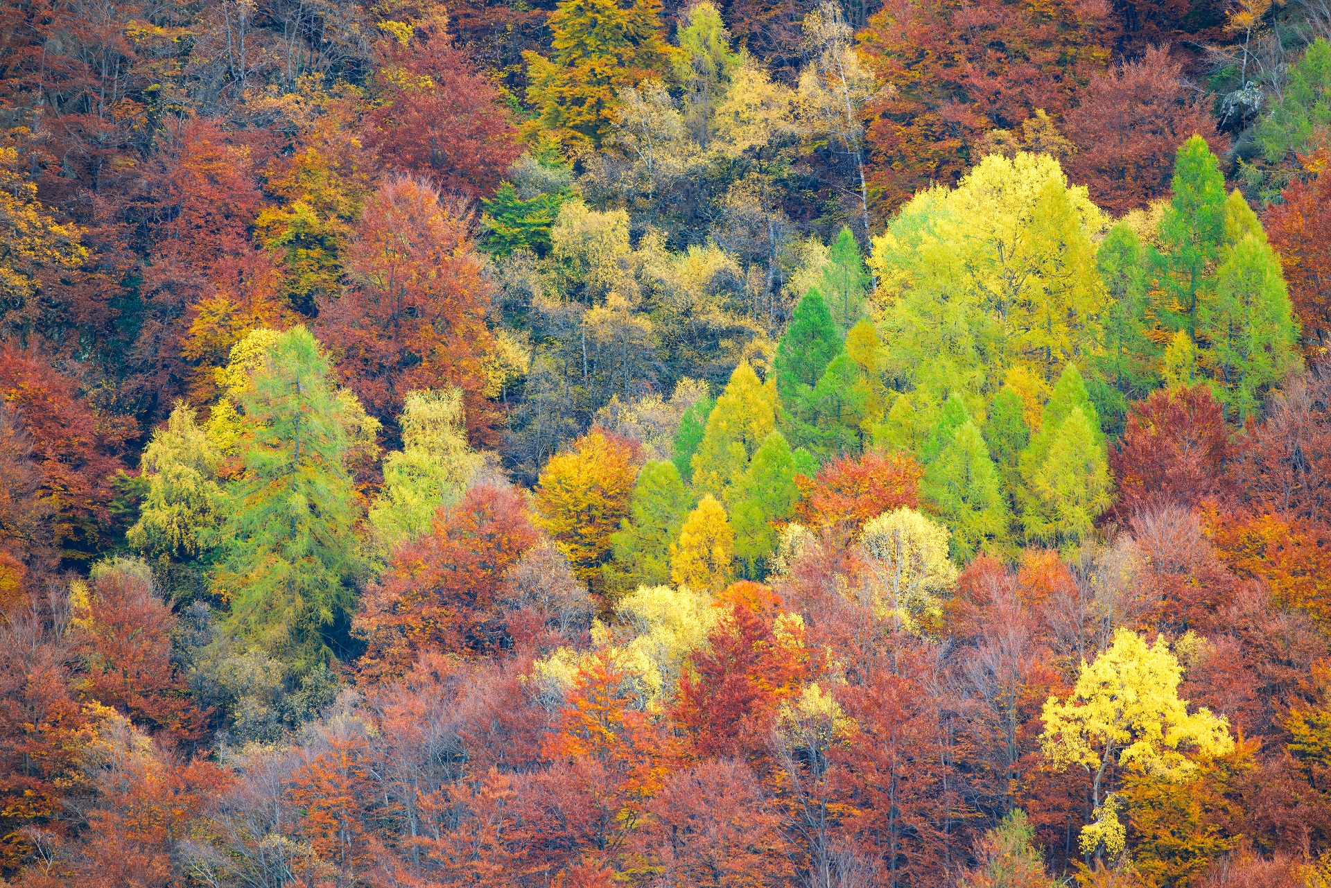 Val Gerola da pedesina 2
