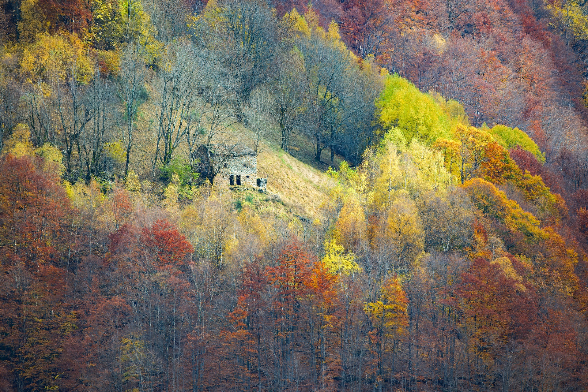 Val Gerola from pedesina 3