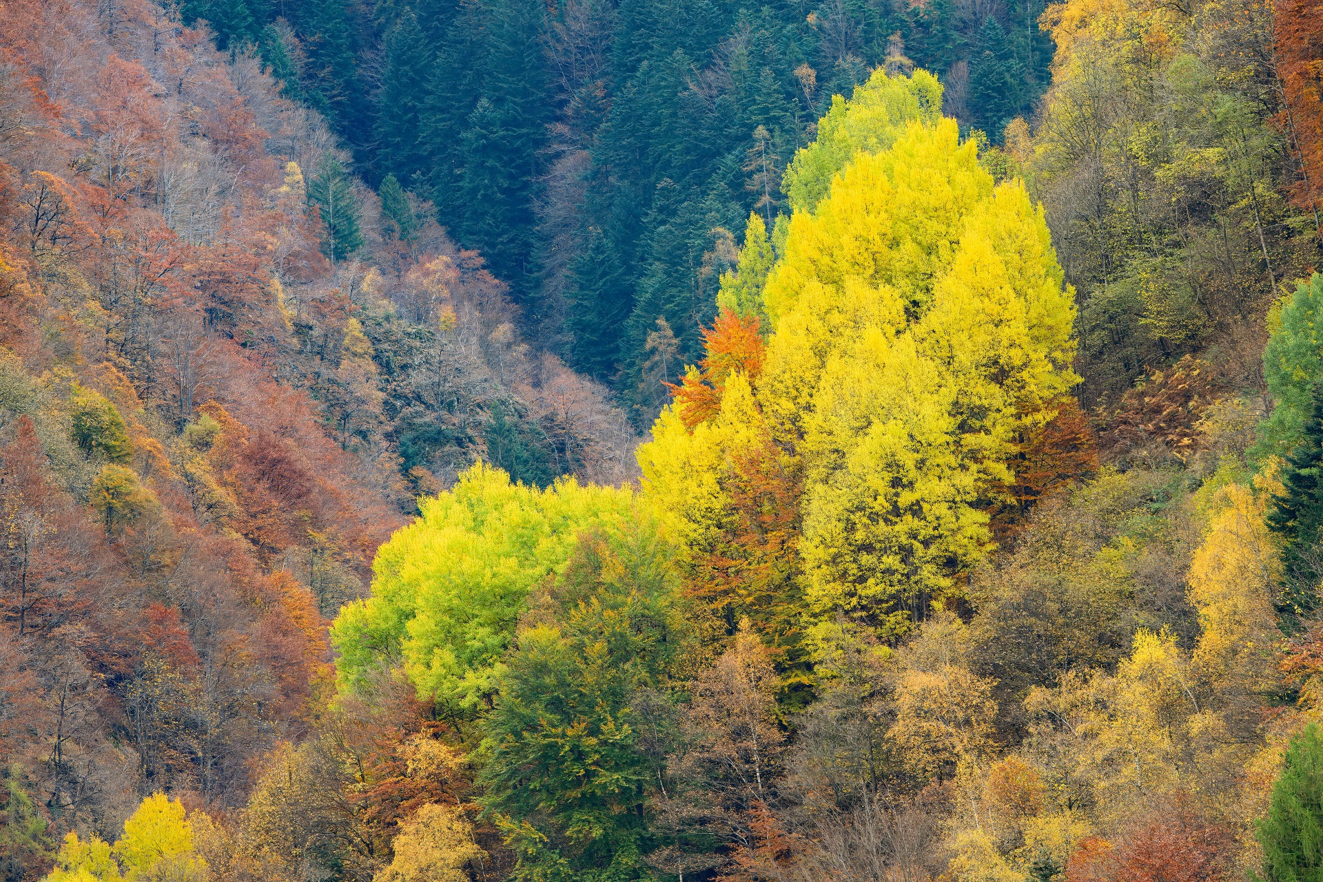 Val Gerola from pedesina 5