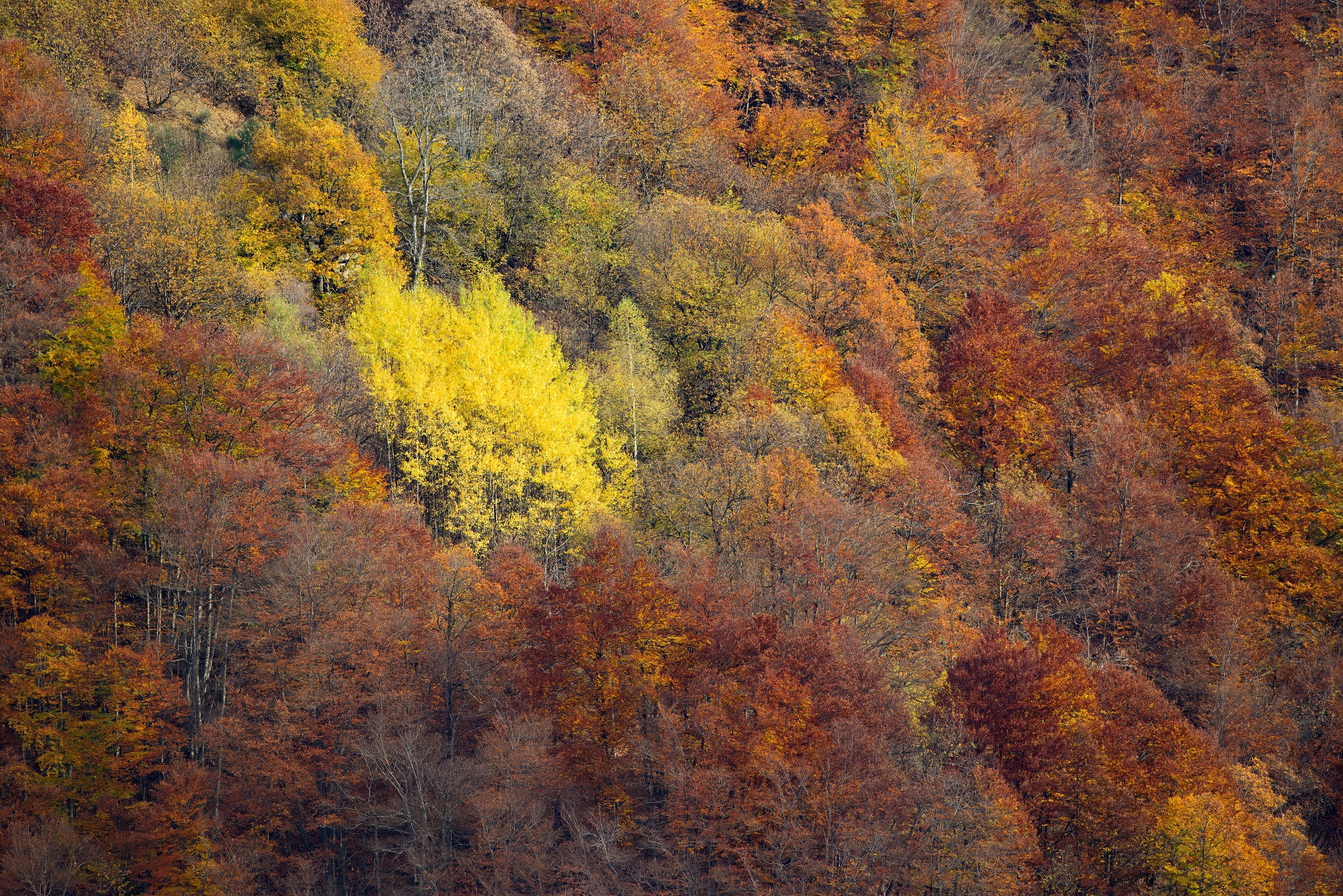 Val Gerola from pedesina 6