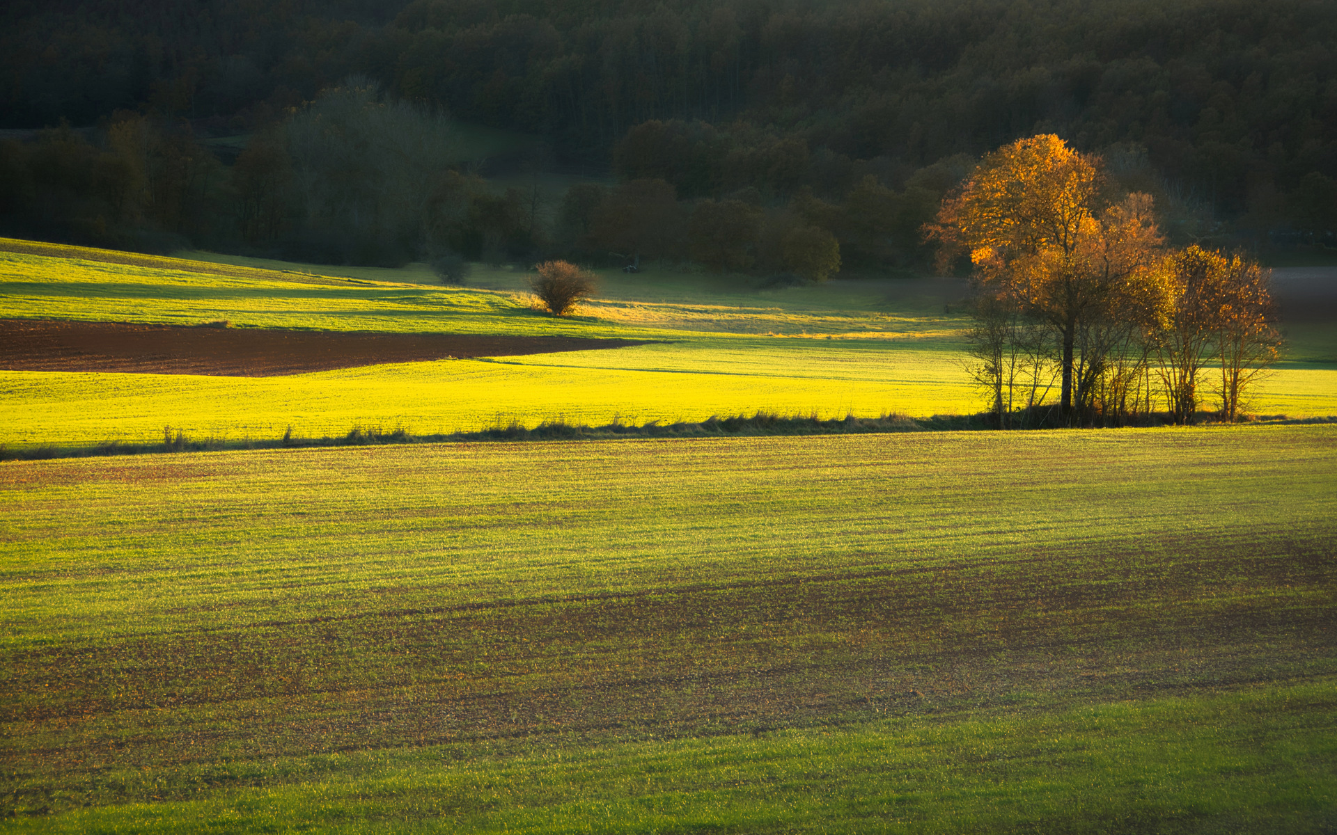 Tramonto nella campagna di Serravalle di Chienti (MC)