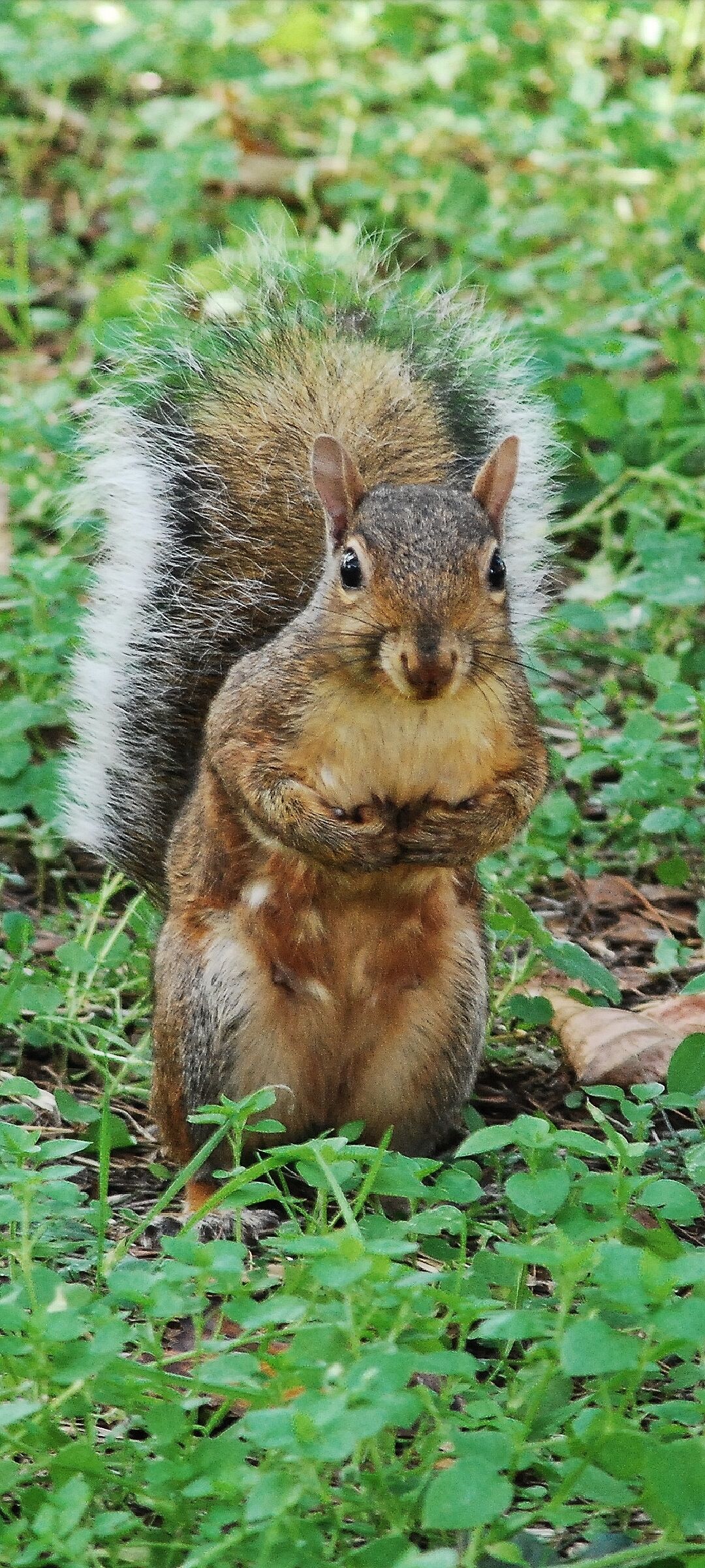 Non hai niente per me oggi?