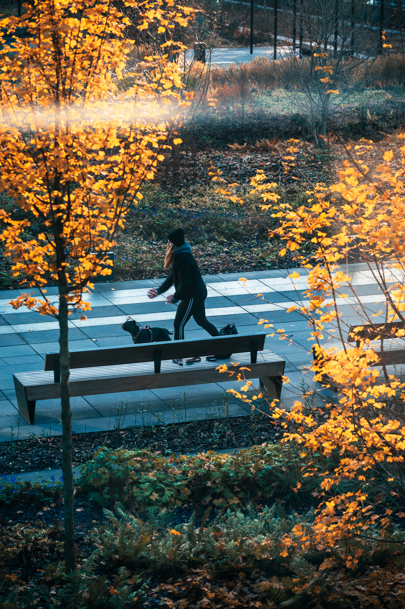 giochiamo in autunno