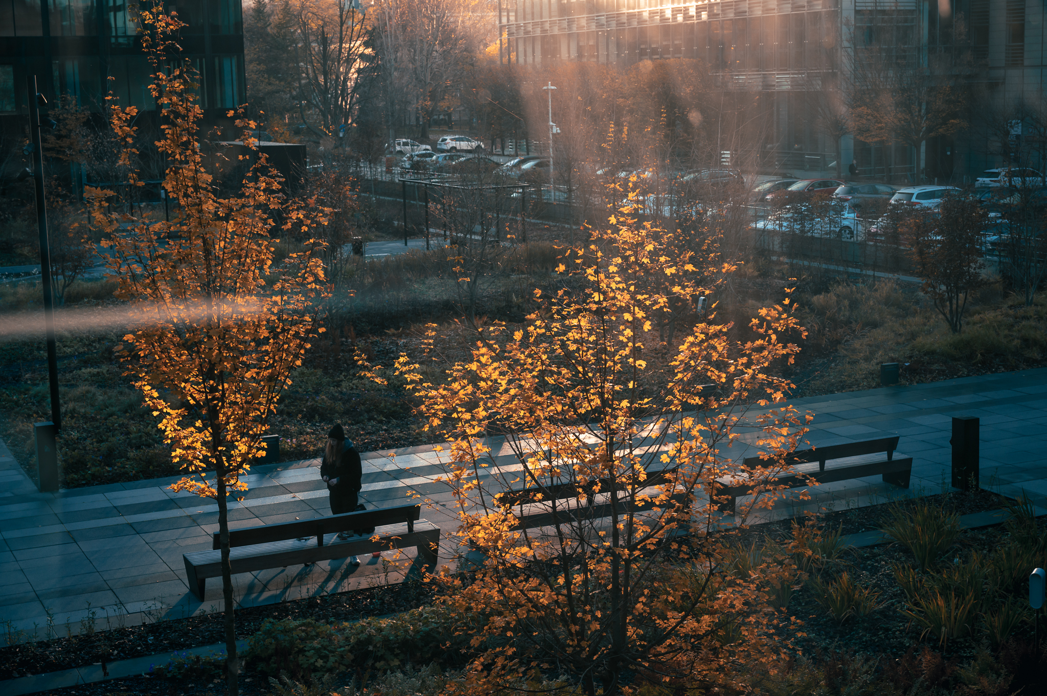 vista dal mio ufficio
