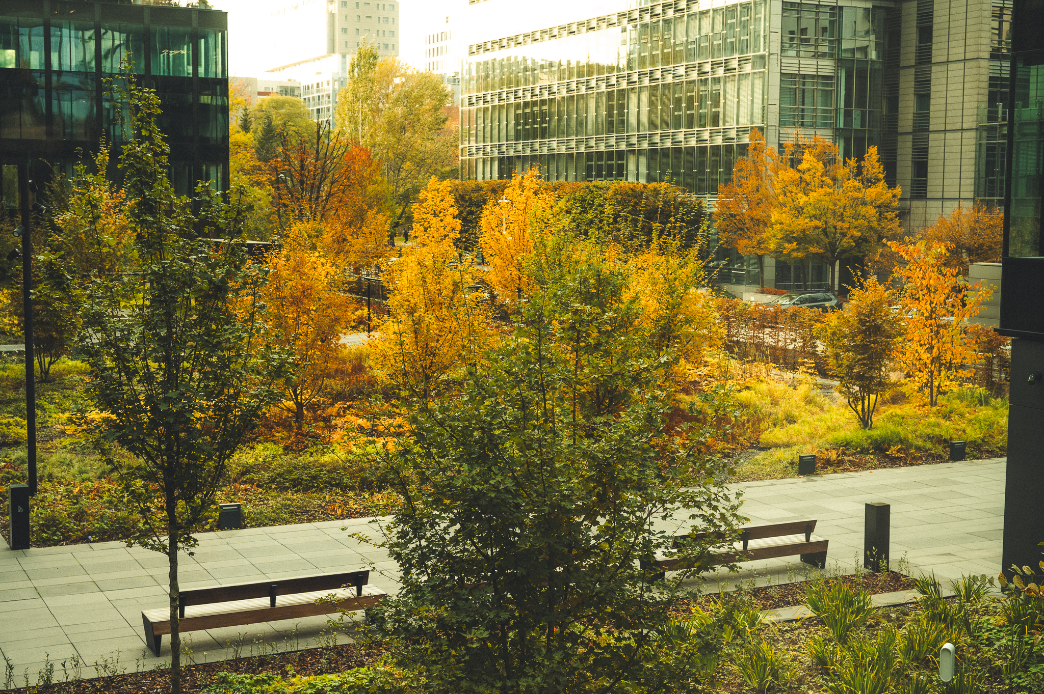 vista dal mio ufficio 2