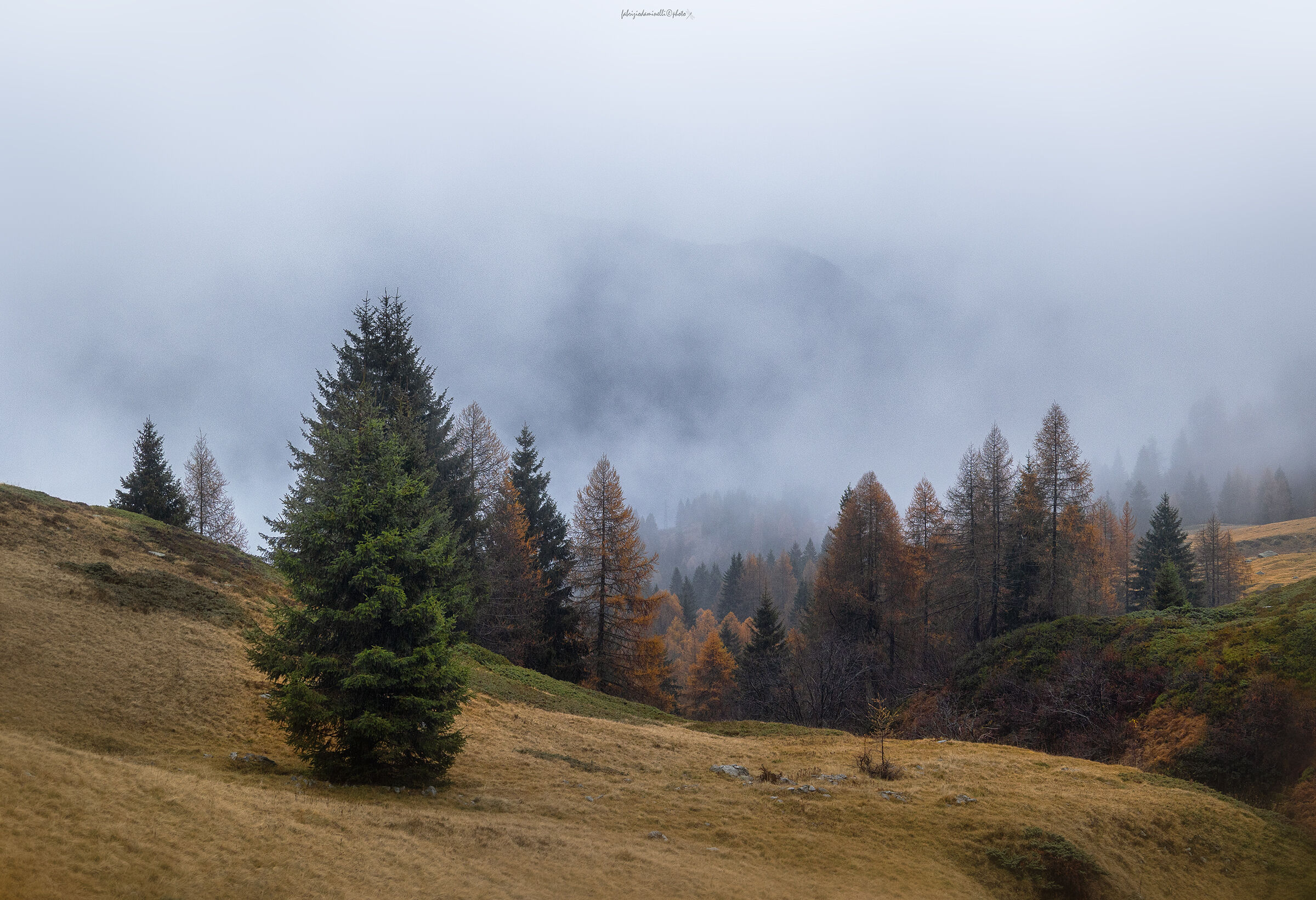 foliage in Val Brembana - Bergamo