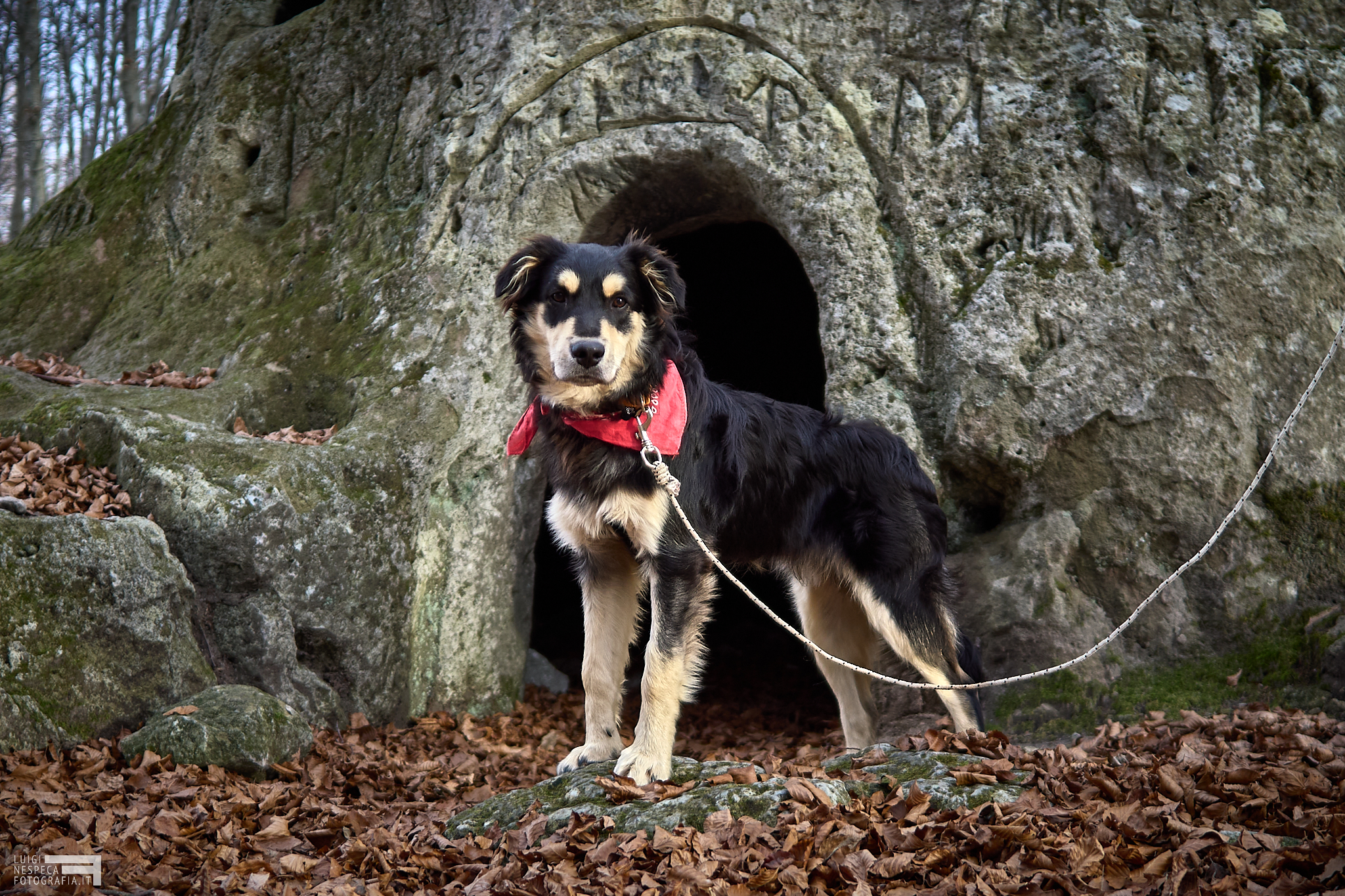 Guinness and the Cerrone Cave - Maiella