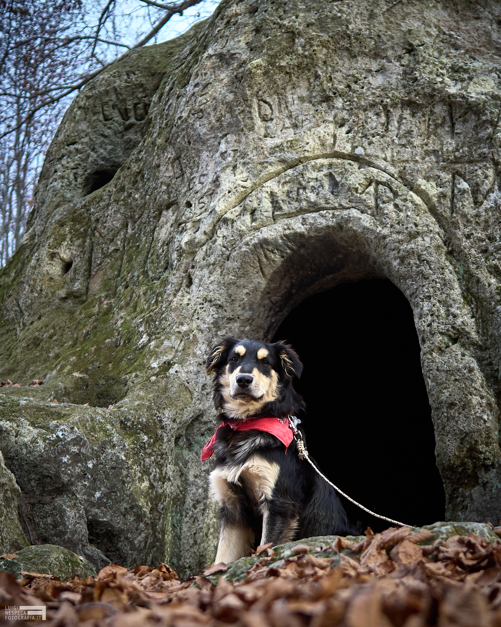 Guinness and the Cerrone Cave - Maiella