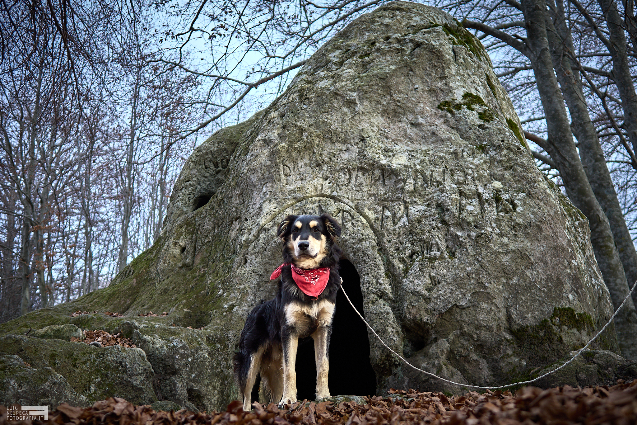 Guinness and the Cerrone Cave - Maiella