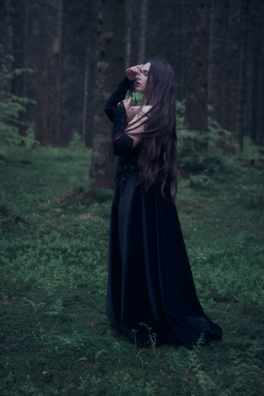 Into the woods