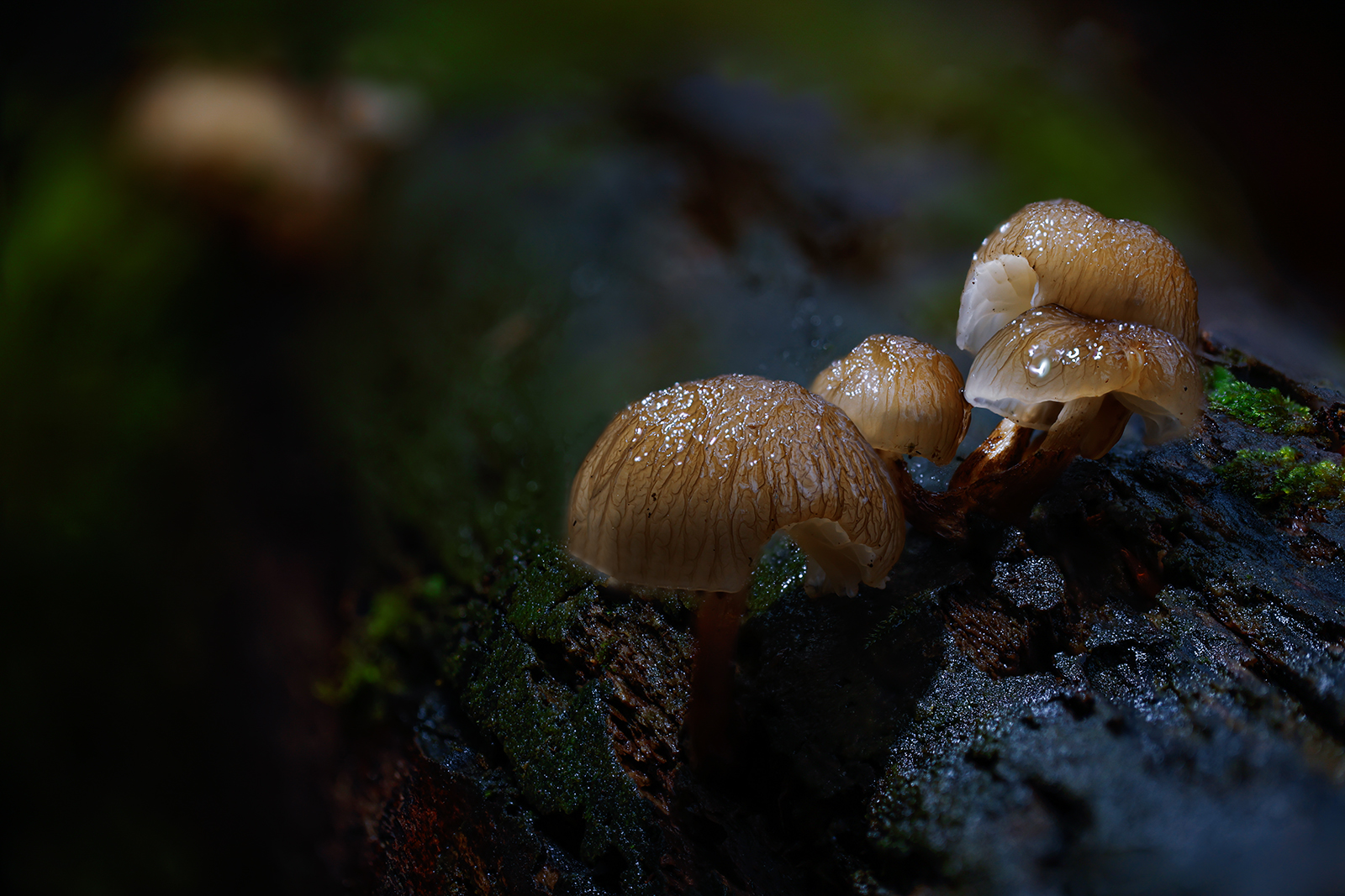 Untitled Photo