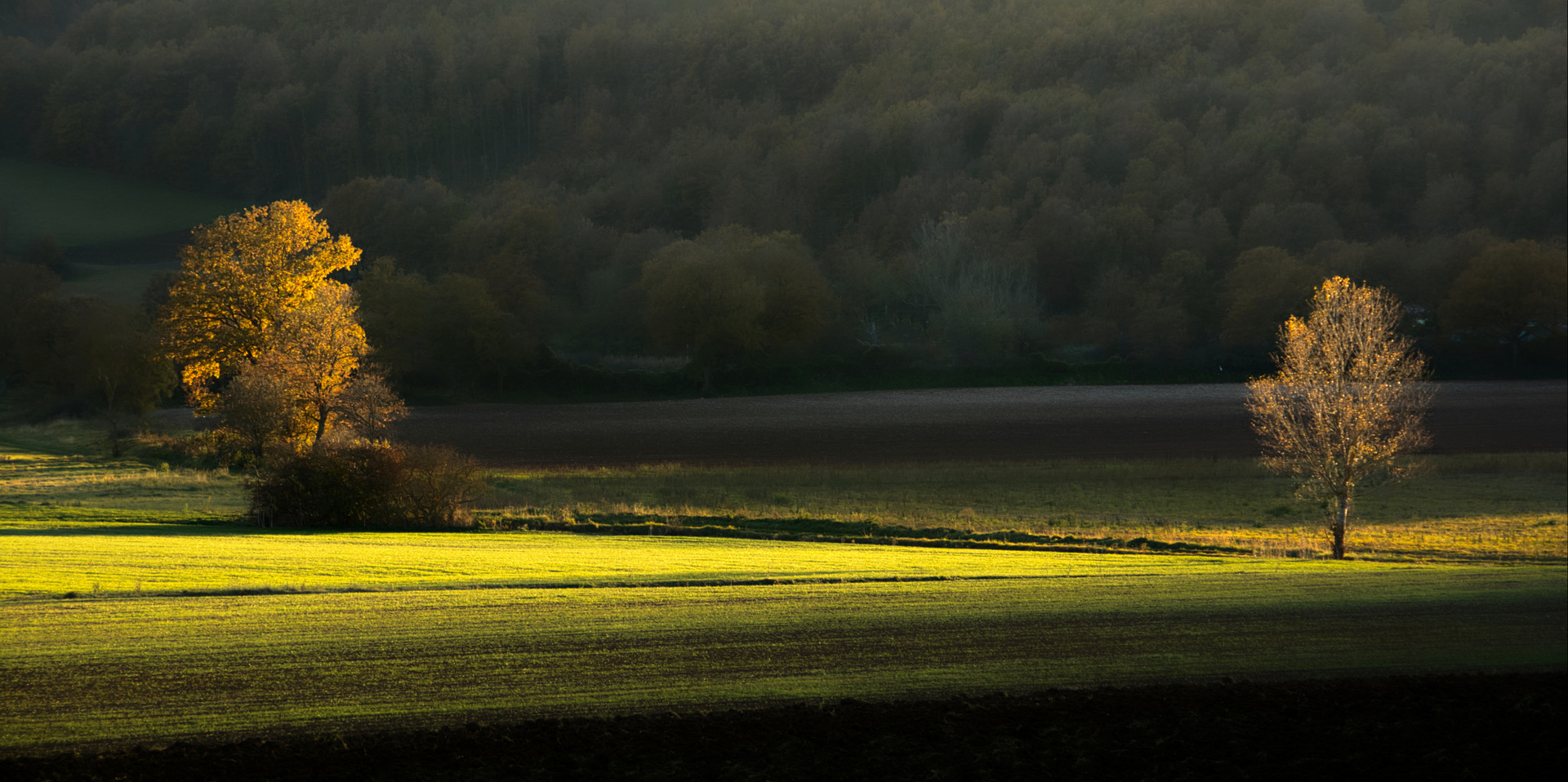 Campagna marchigiana - Serravalle di Chienti (MC)