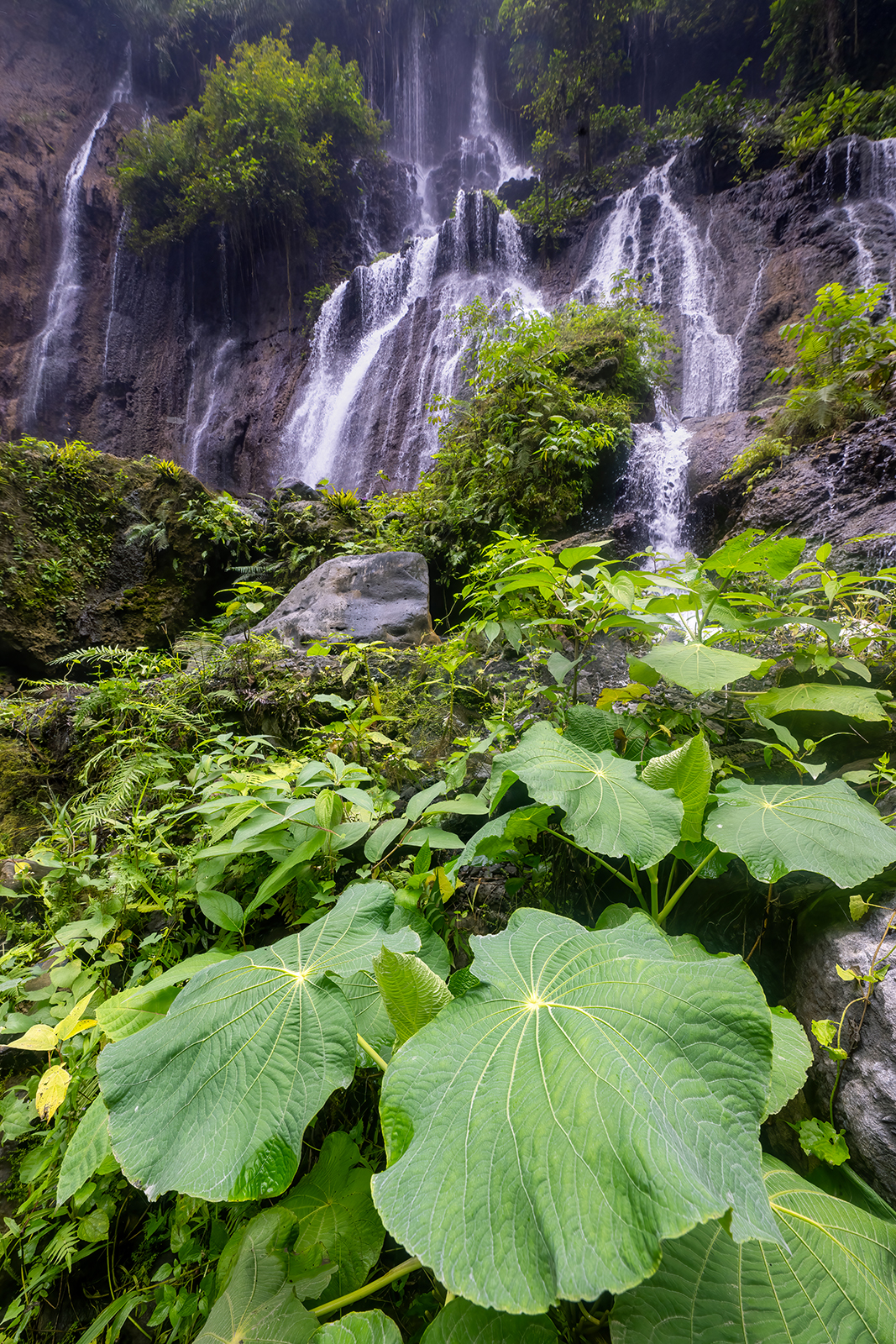 cascata vicino a Tumpak Sewu