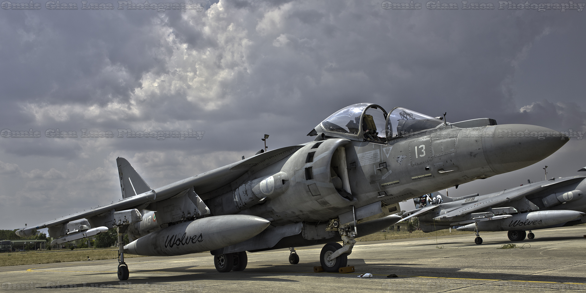 Harrier