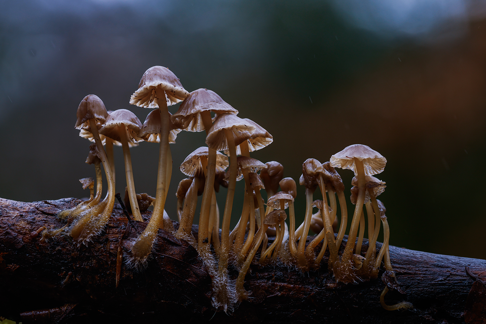 Untitled Photo