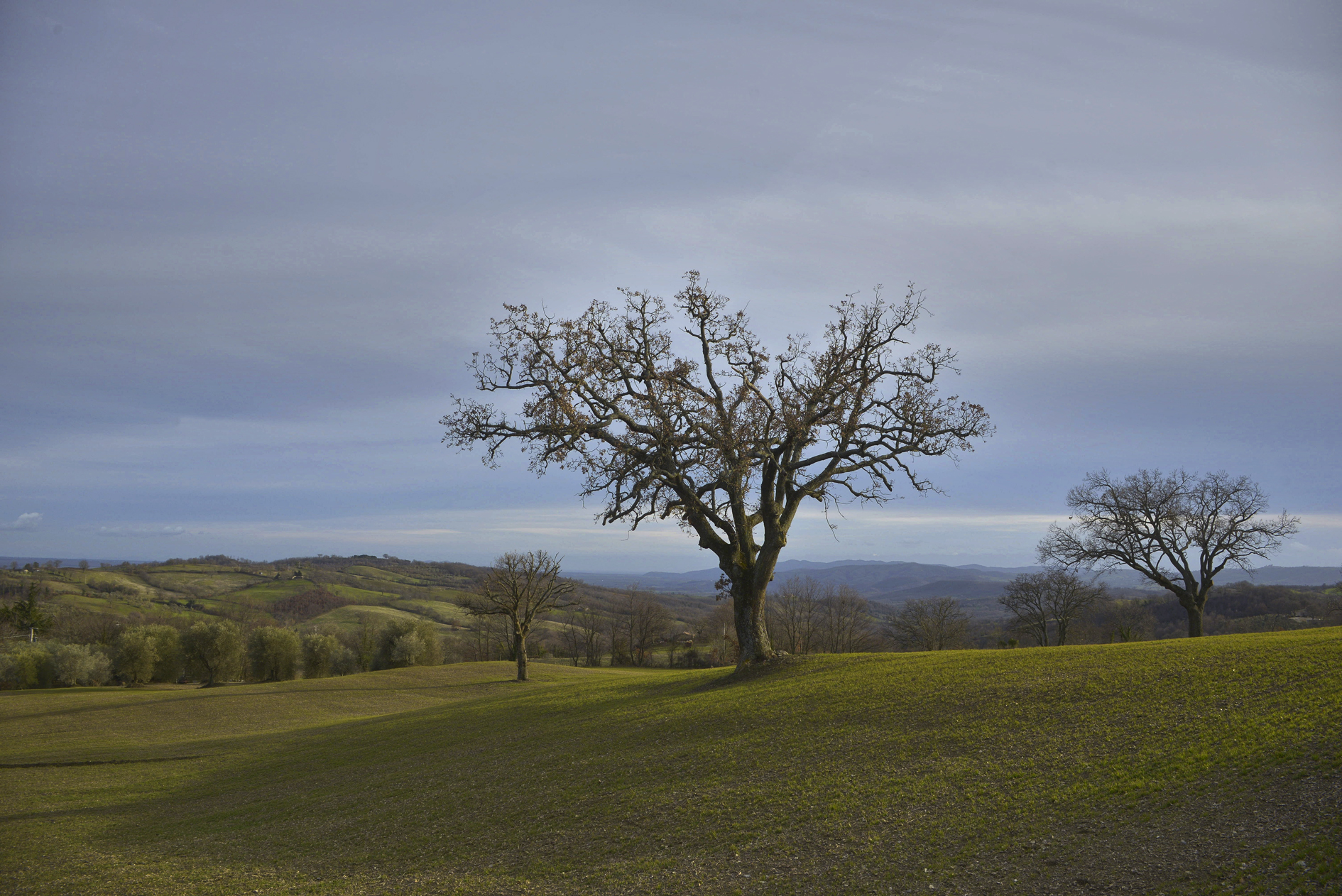 Untitled Photo