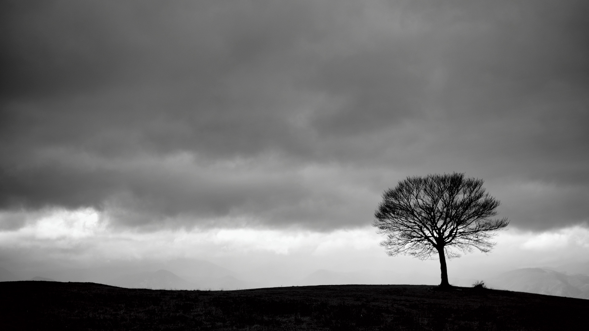 Canfaito - San Severino Marche (mc)