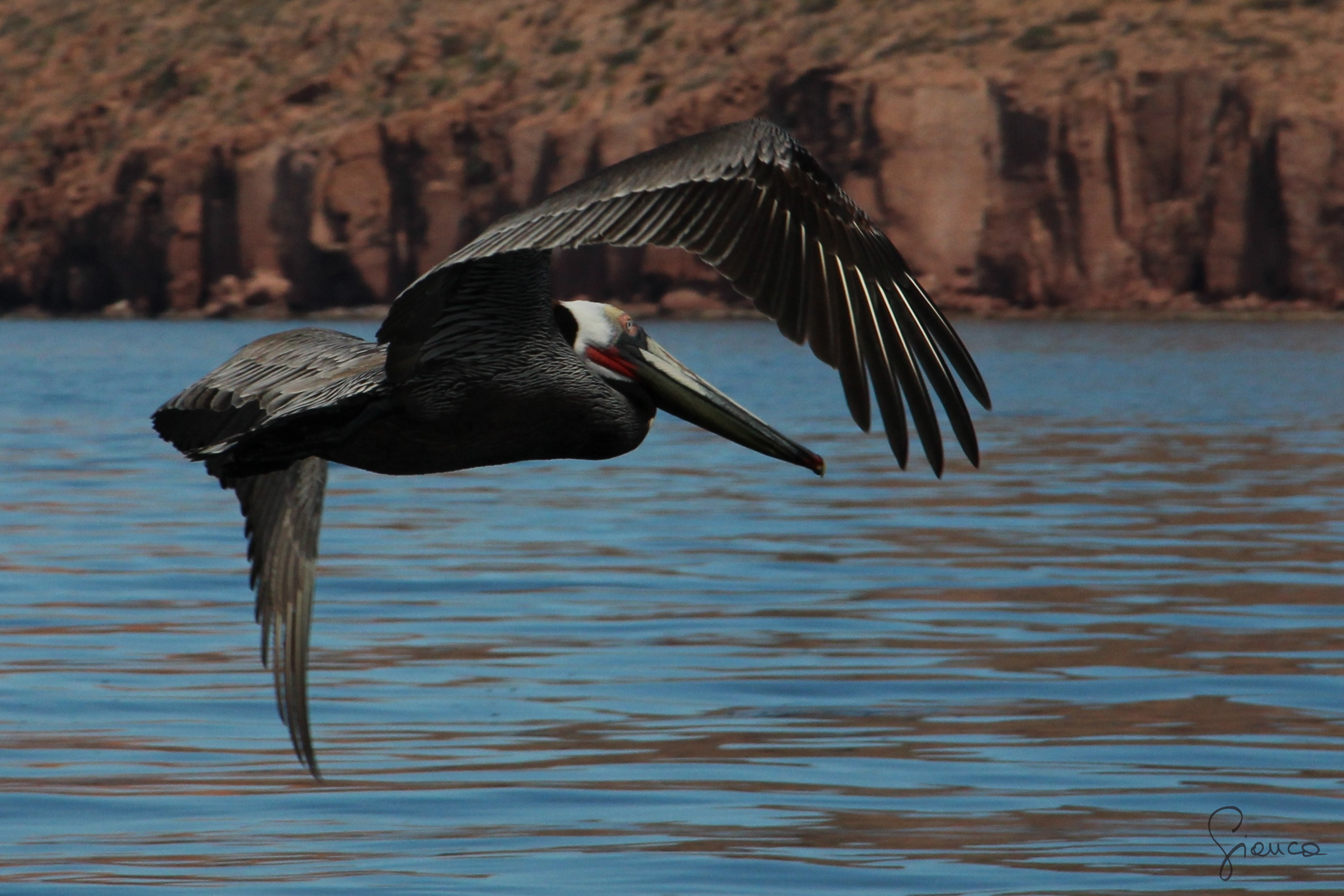 Isla del Espiritu Santo
