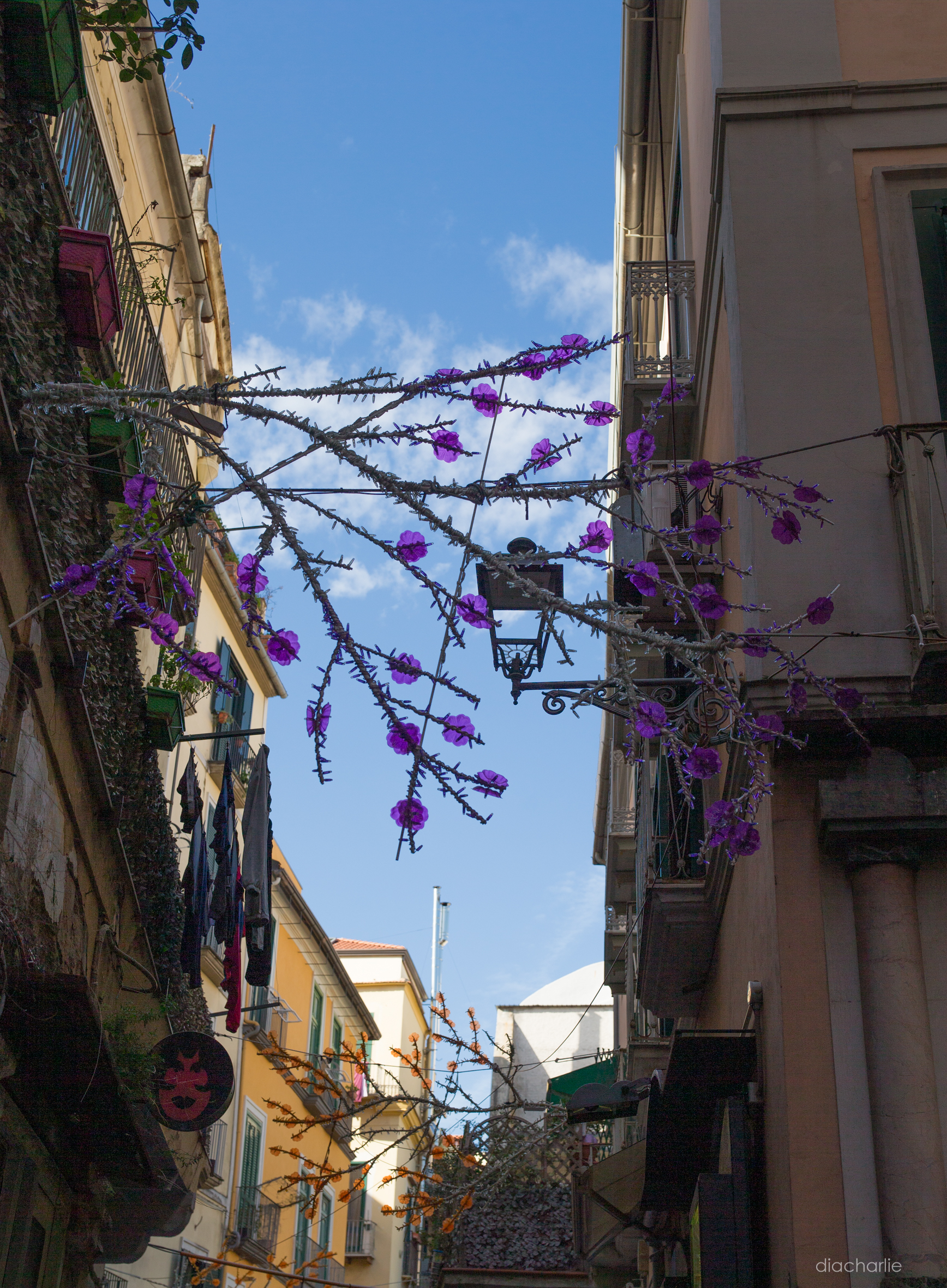 Salerno